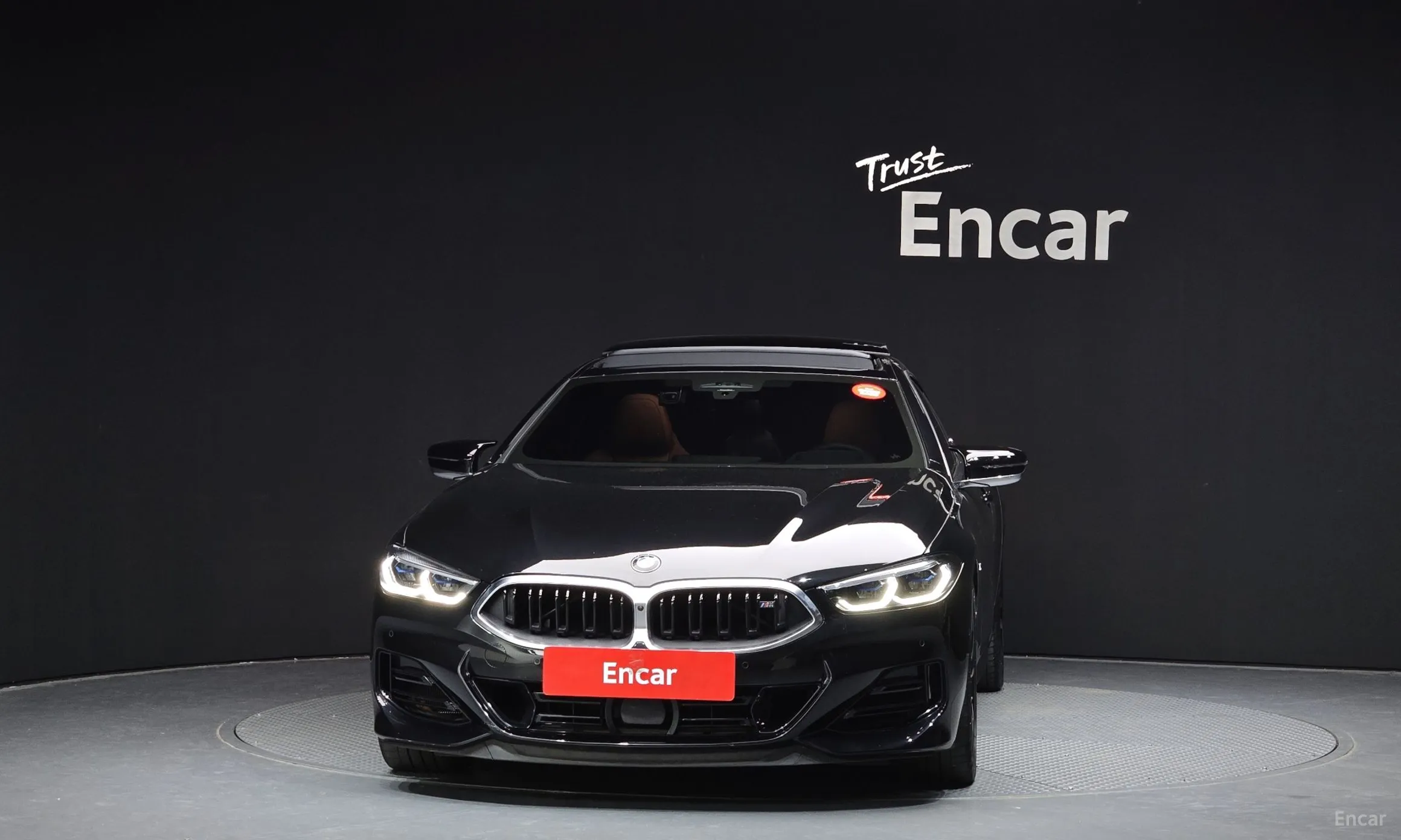 BMW 8-series (G15)