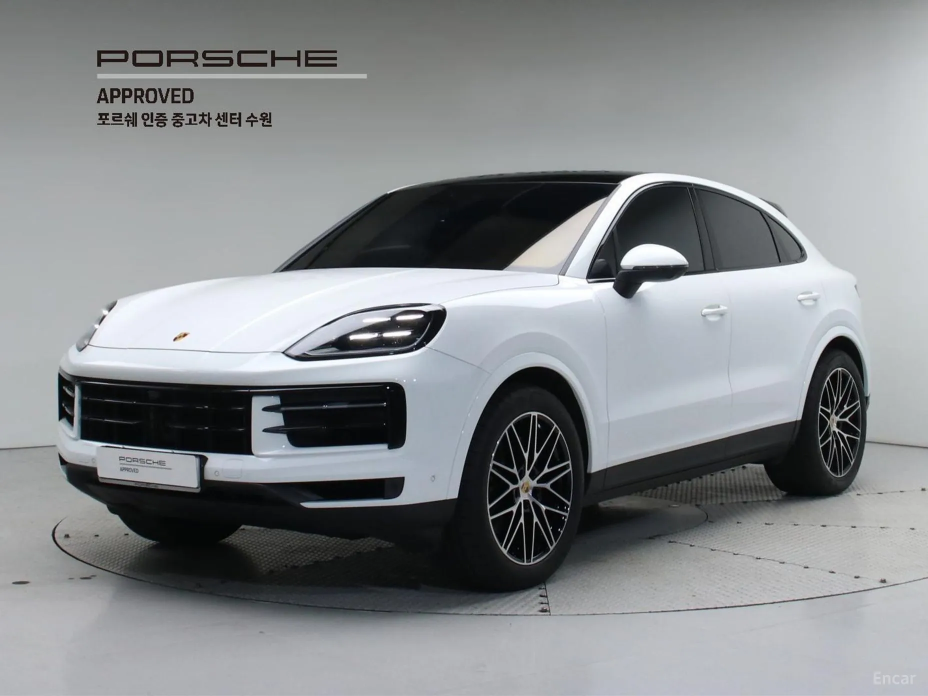 Cayenne (PO536)