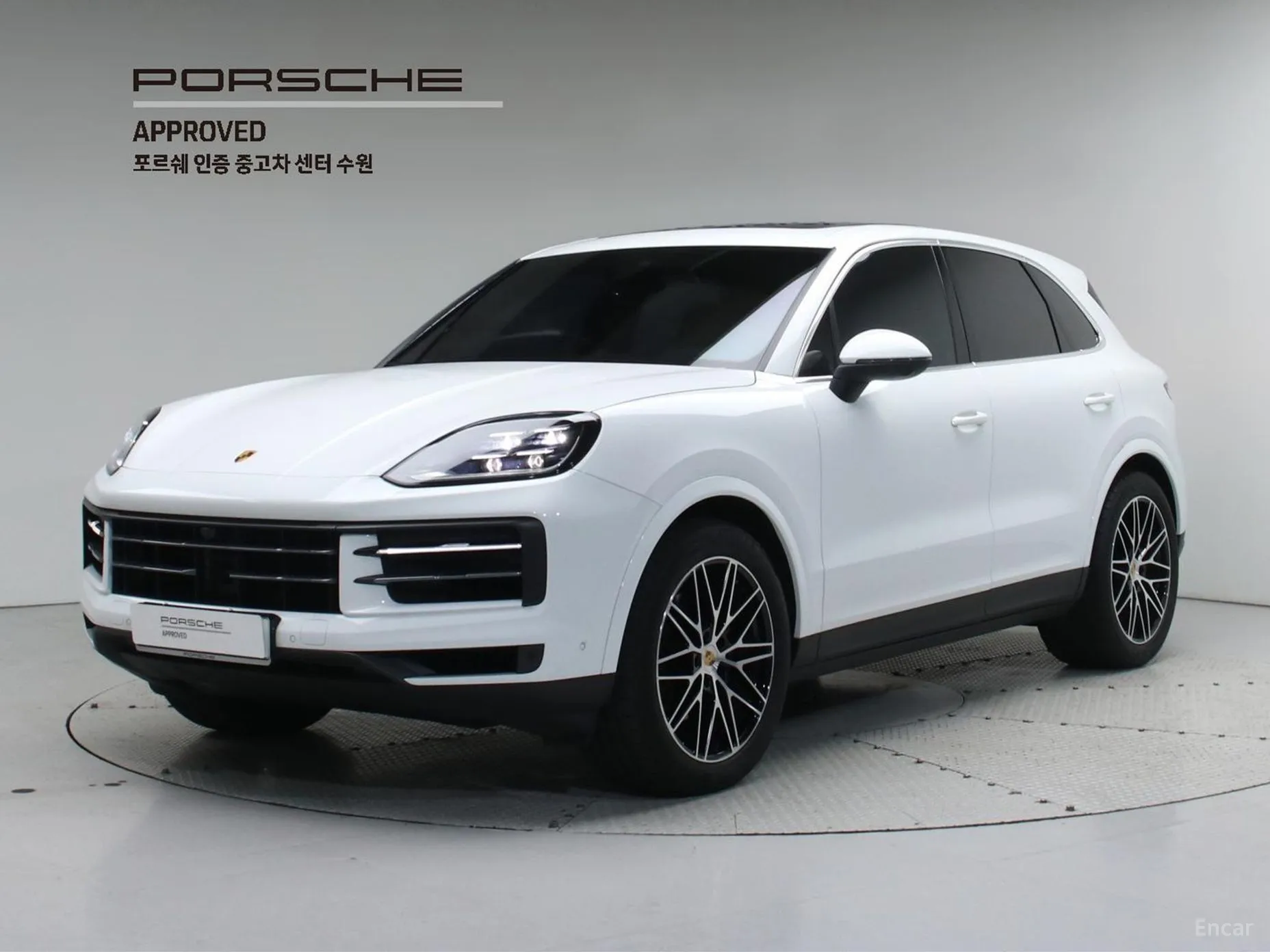 Cayenne (PO536)