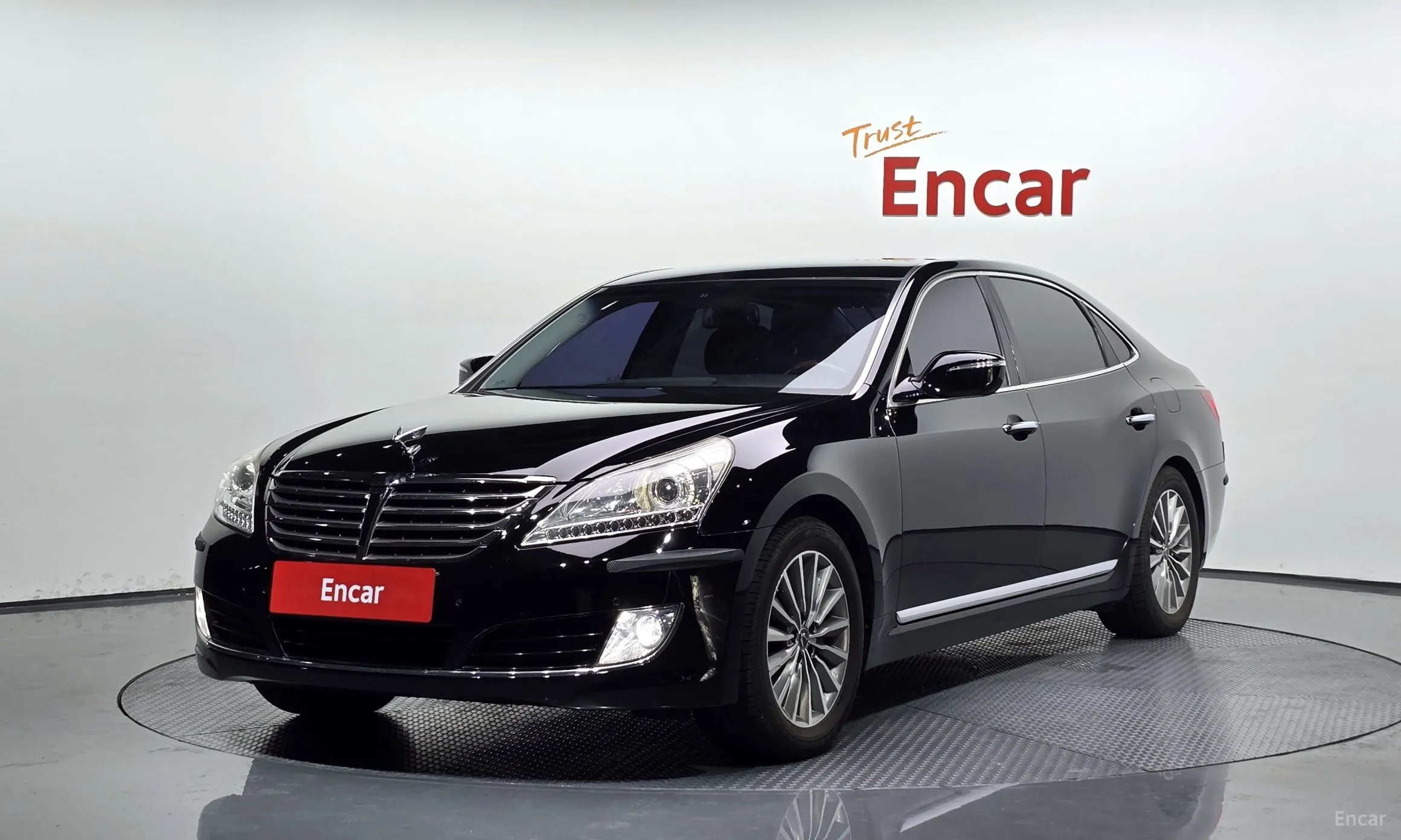 Equus (new)