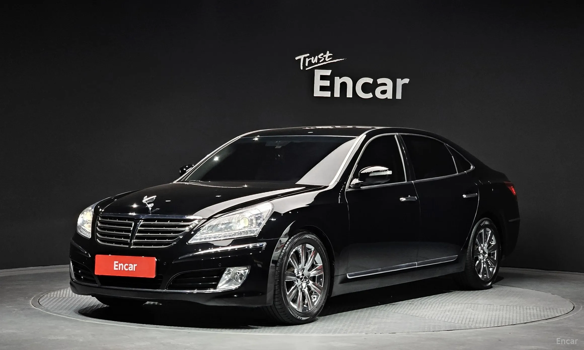 Equus (new)