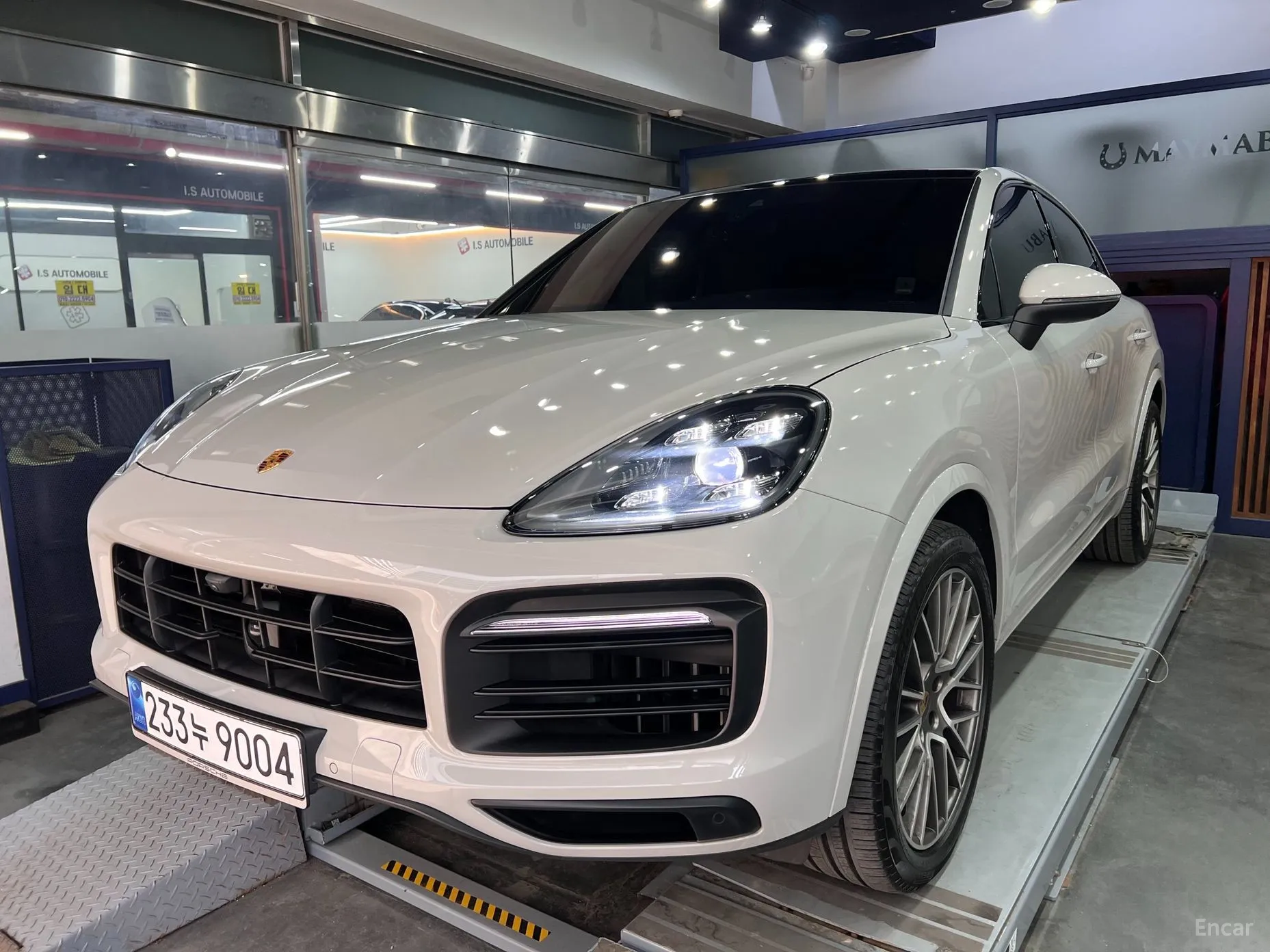 Cayenne (PO536)