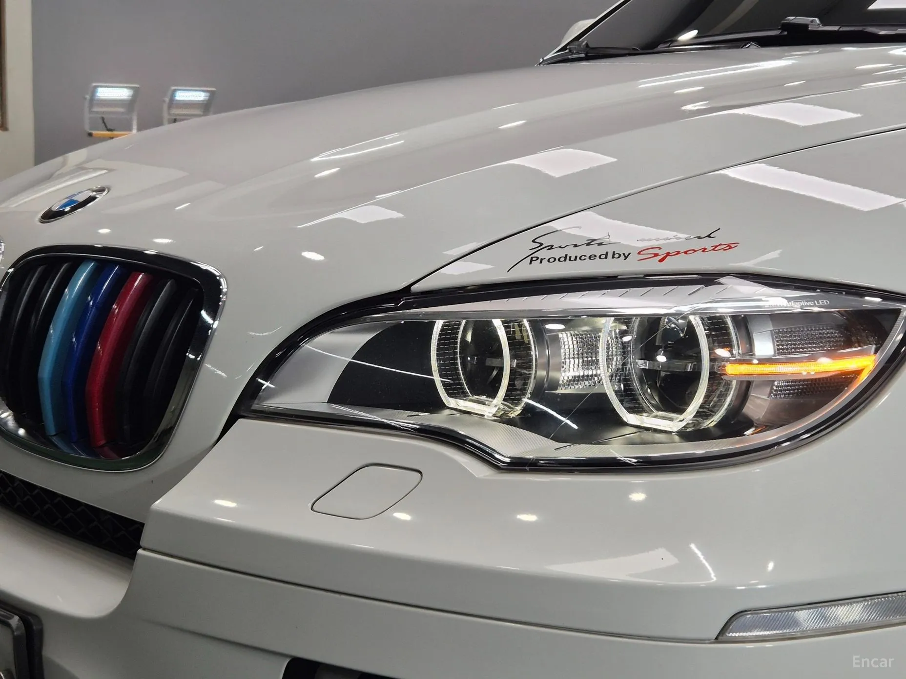 X6 (E71)