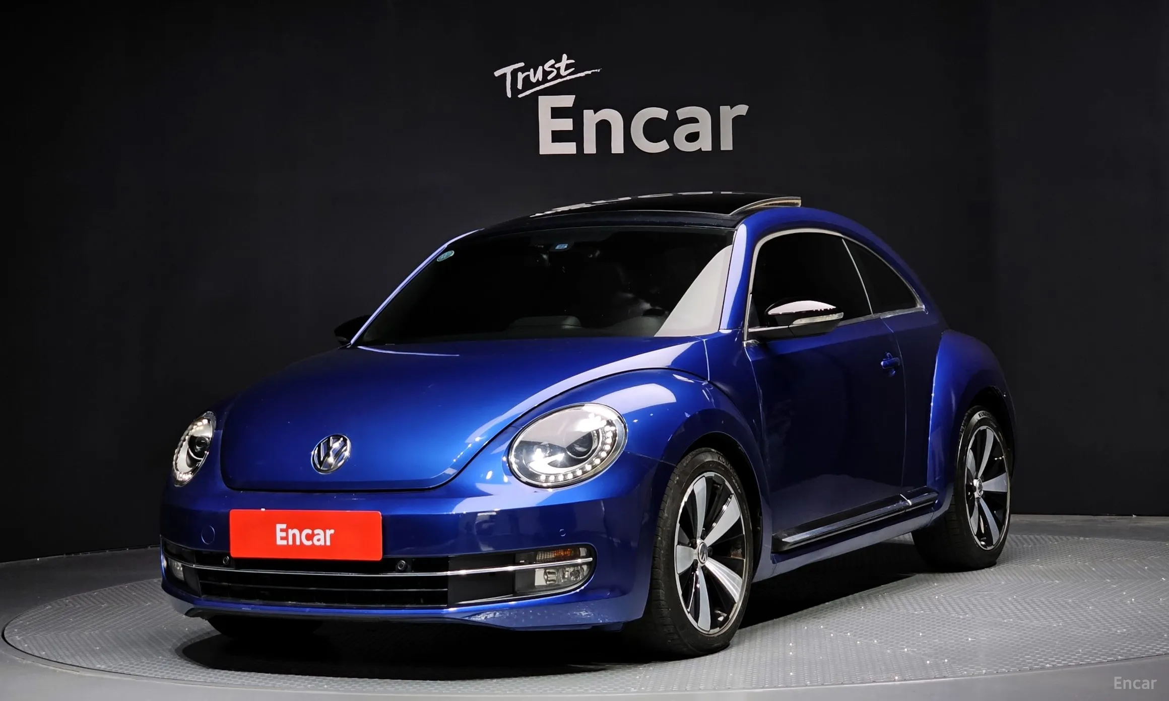 The Beetle