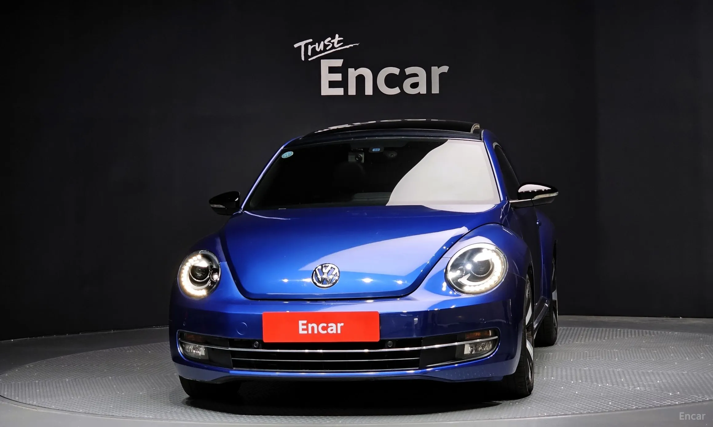 Volkswagen The Beetle