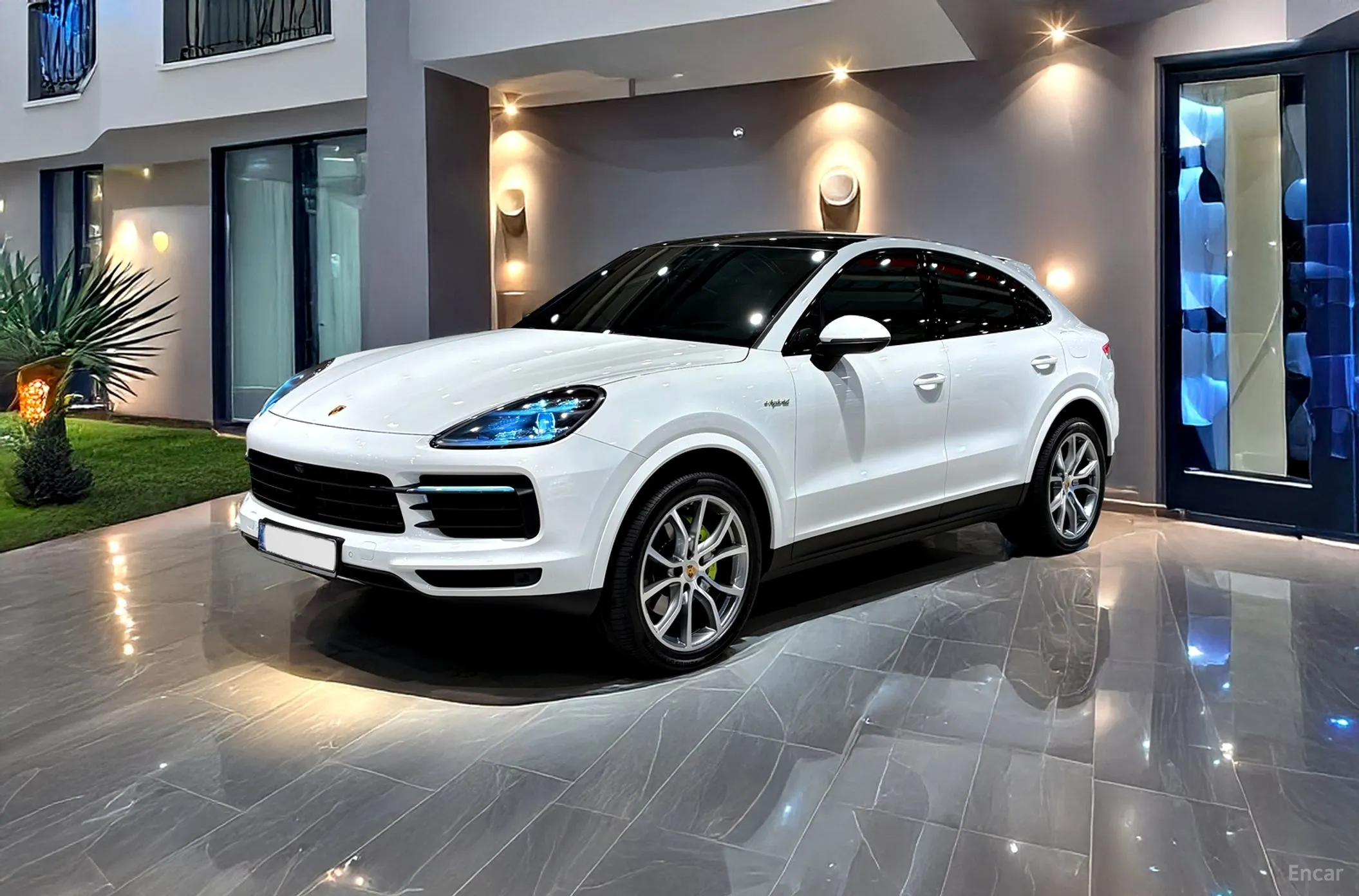 Cayenne (PO536)