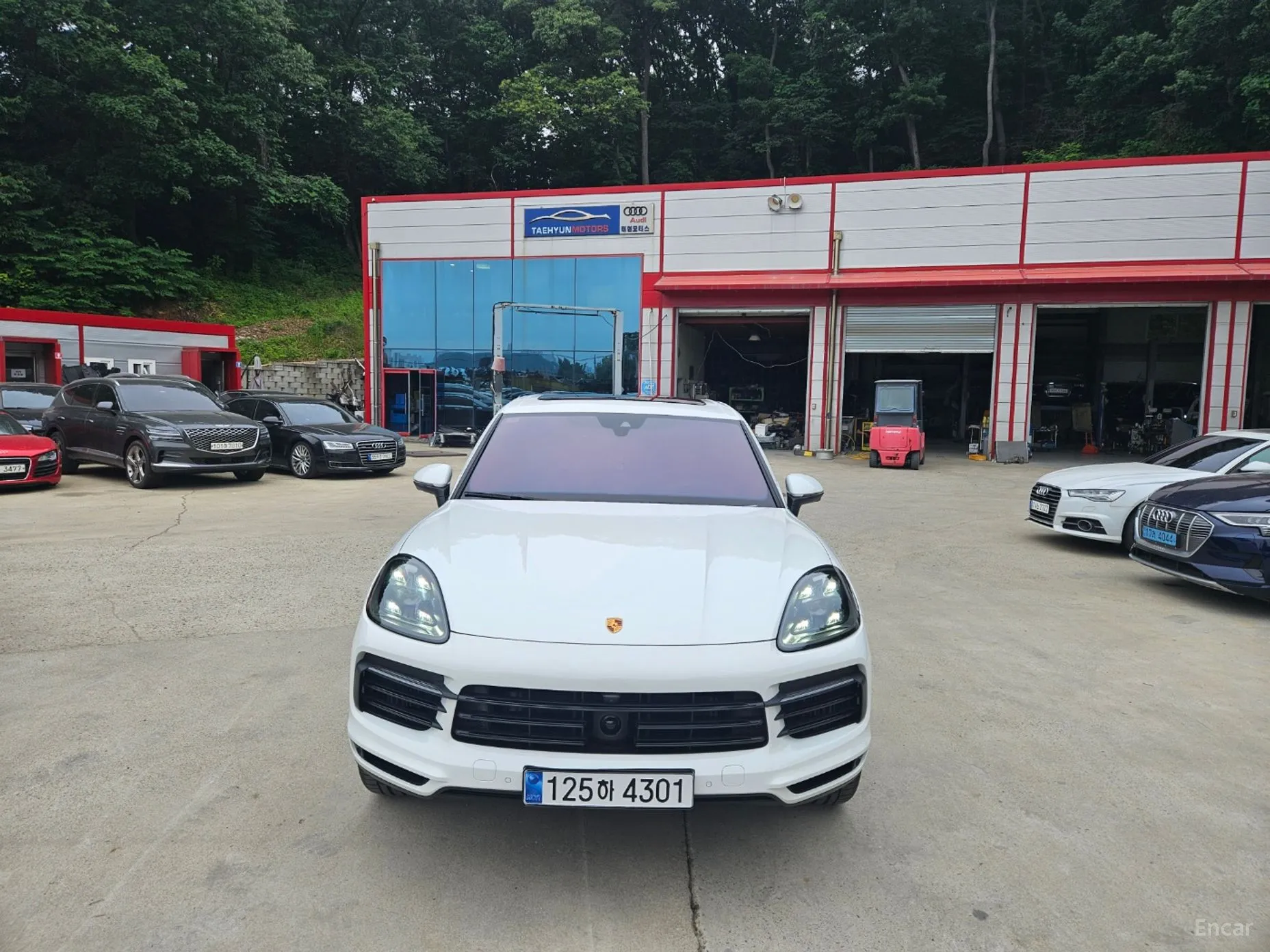 Cayenne (PO536)