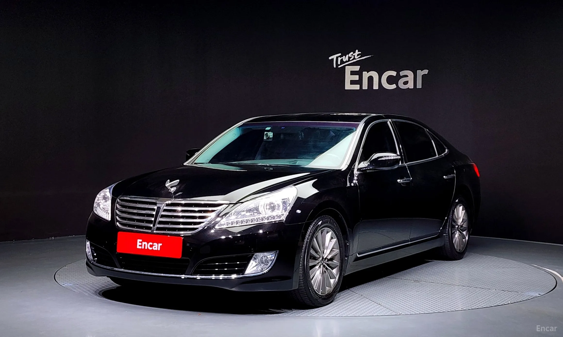Equus (new)