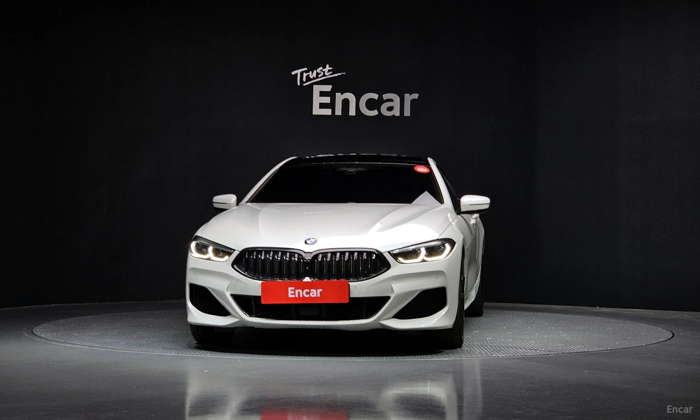 BMW 8-series (G15)
