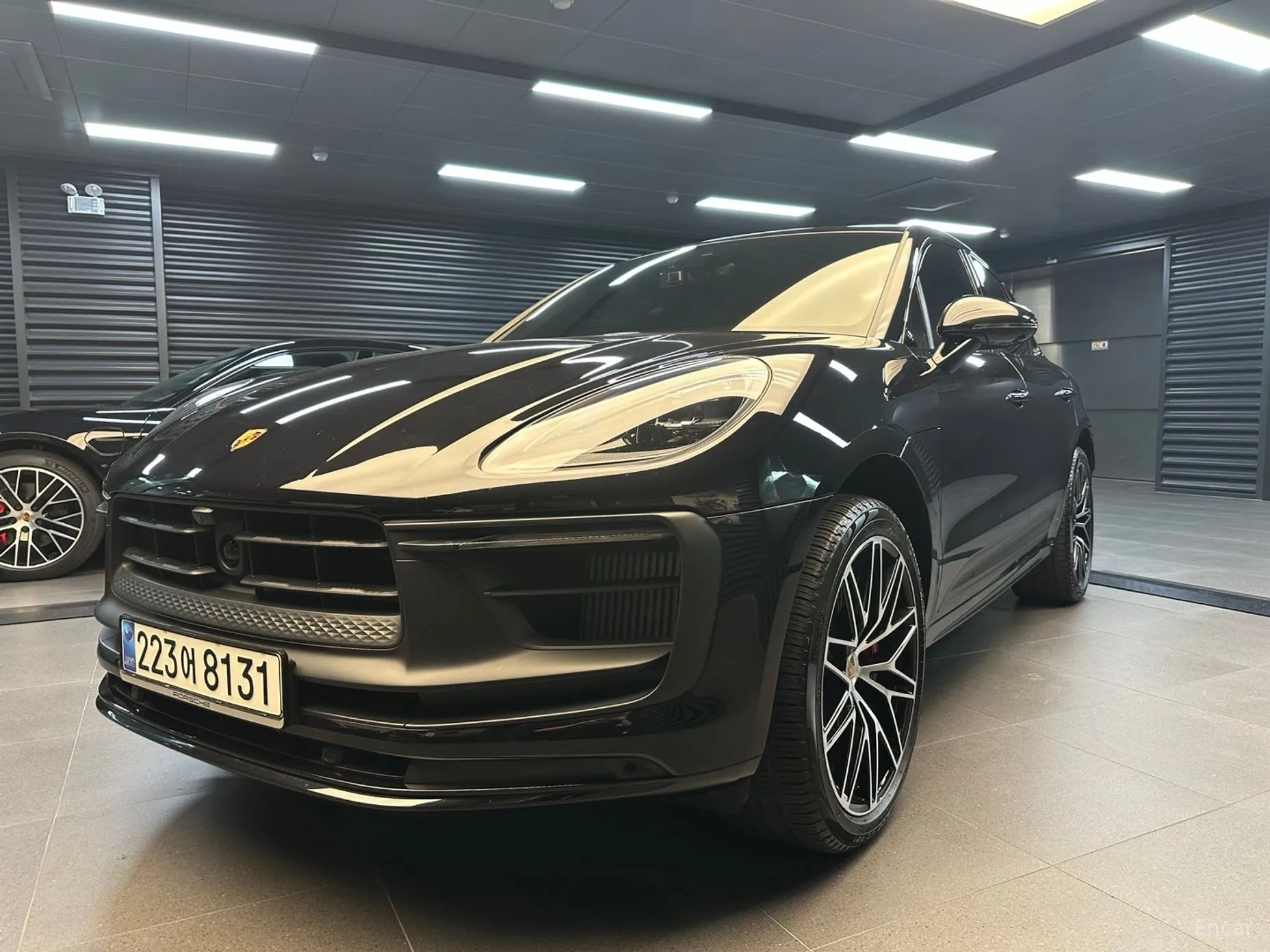 Macan