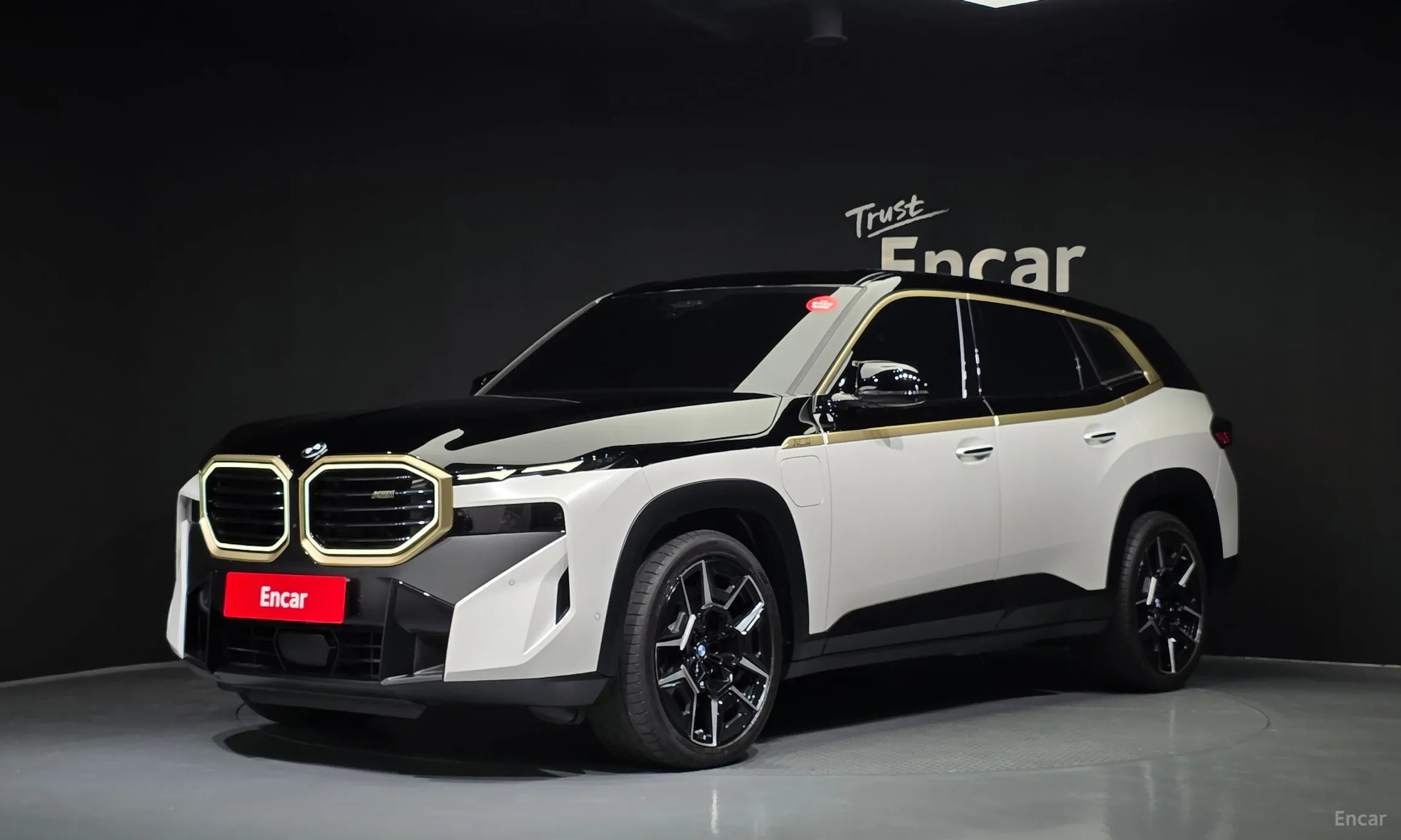 BMW XM (G09)
