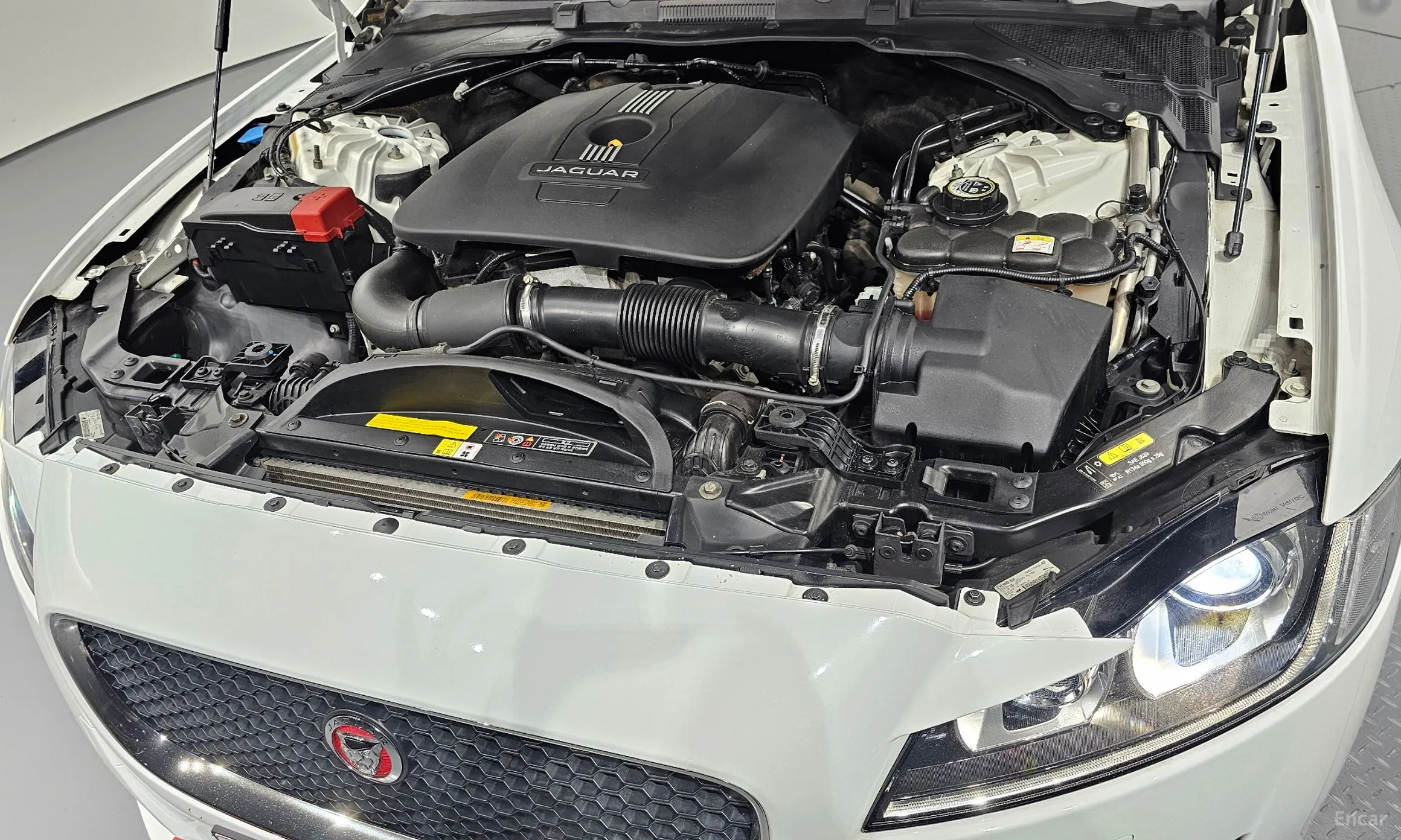 Jaguar XF (x260) превью 6