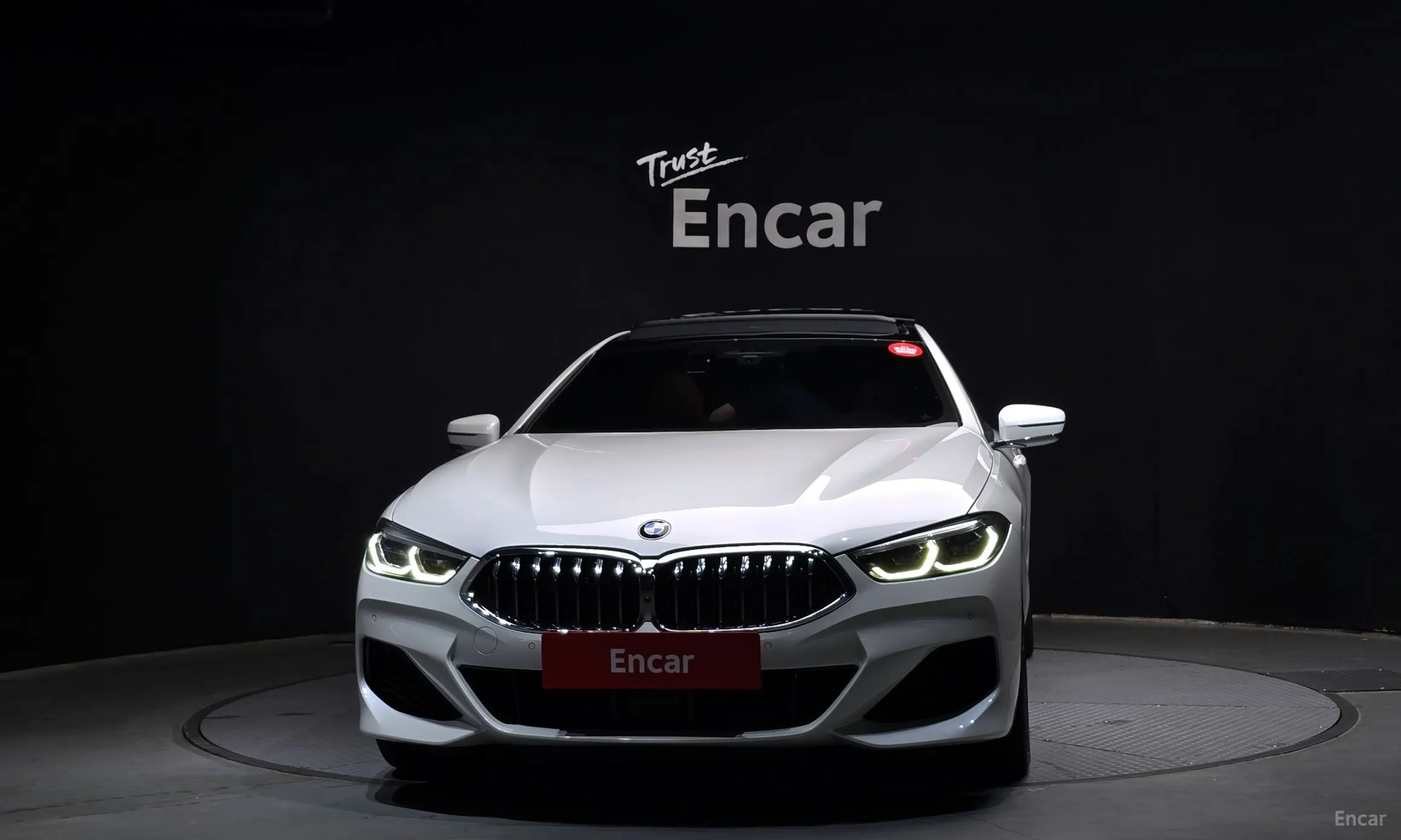 BMW 8-series (G15)