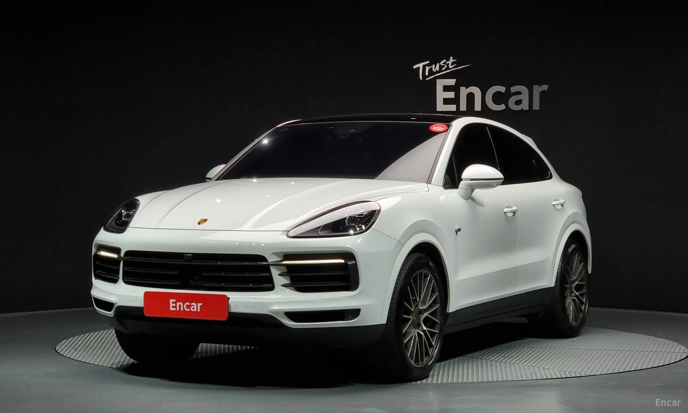 Cayenne (PO536)