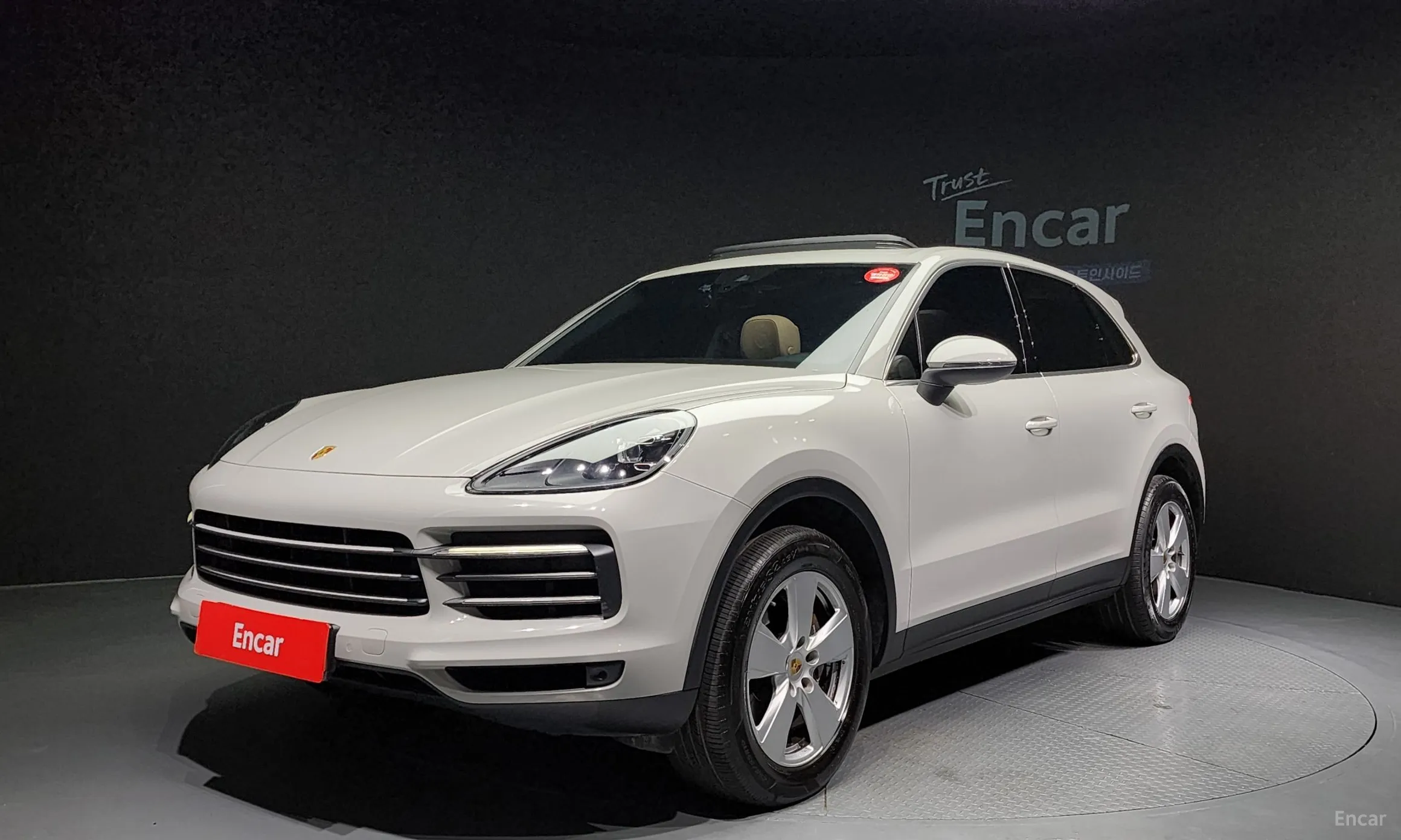 Cayenne (PO536)
