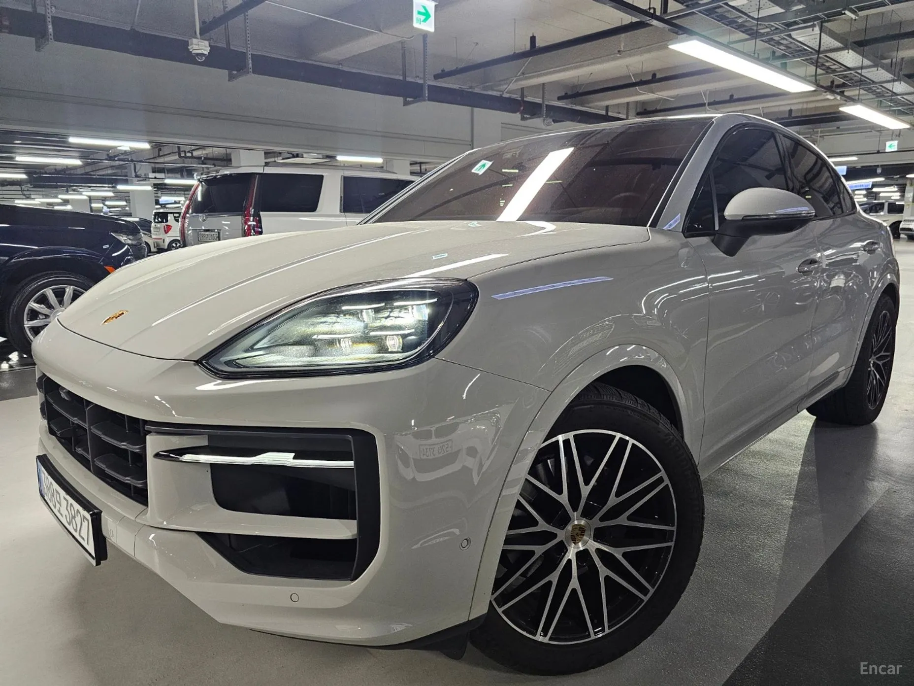 Cayenne (PO536)