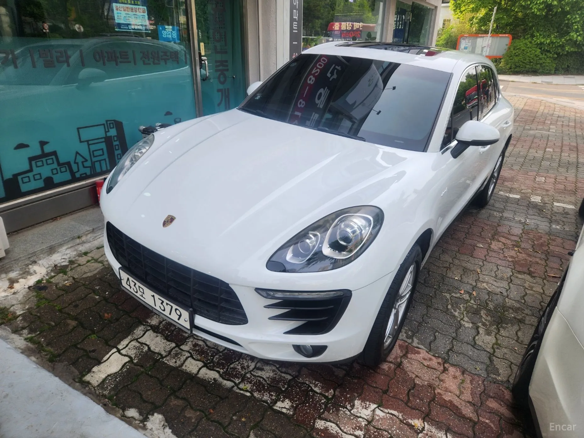 Macan