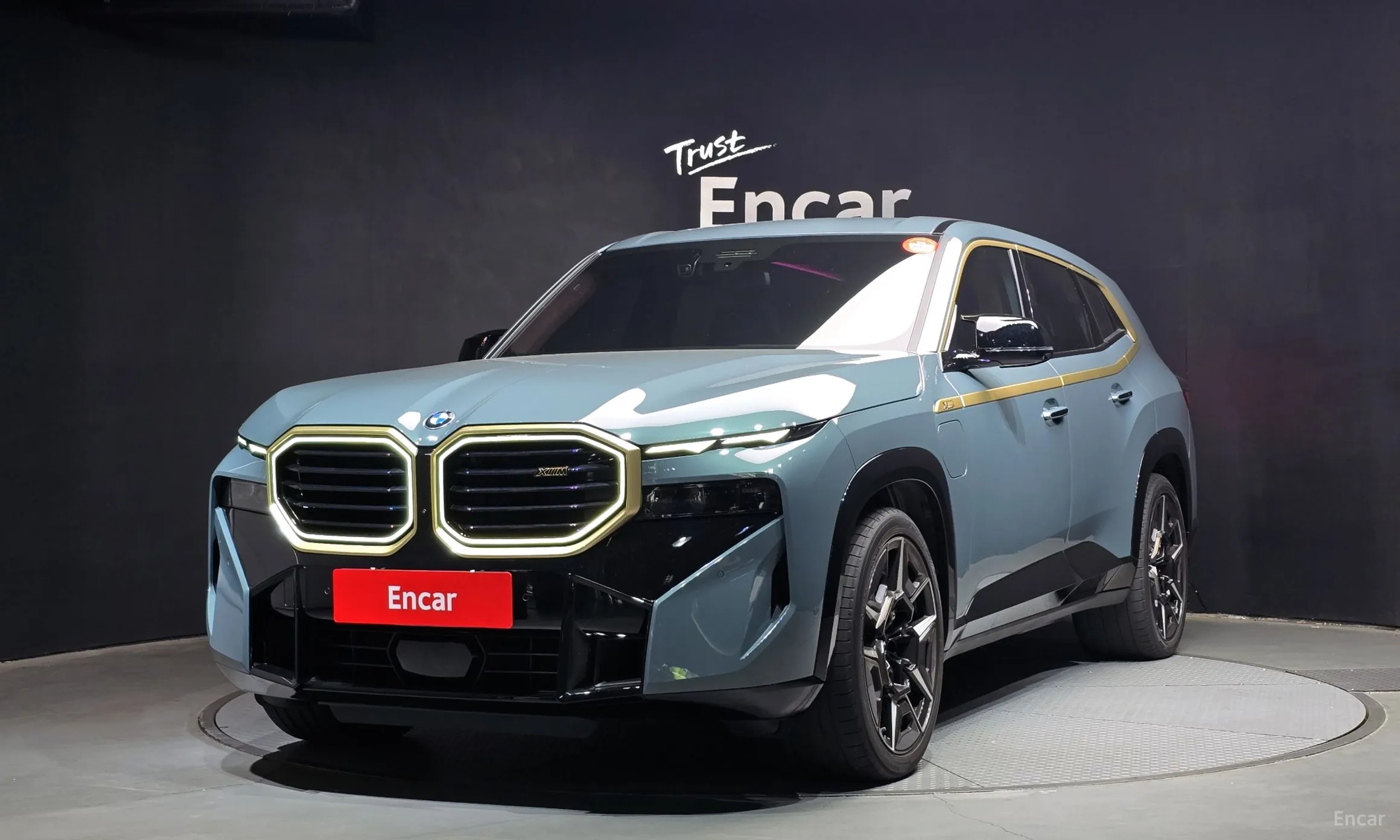 BMW XM (G09)