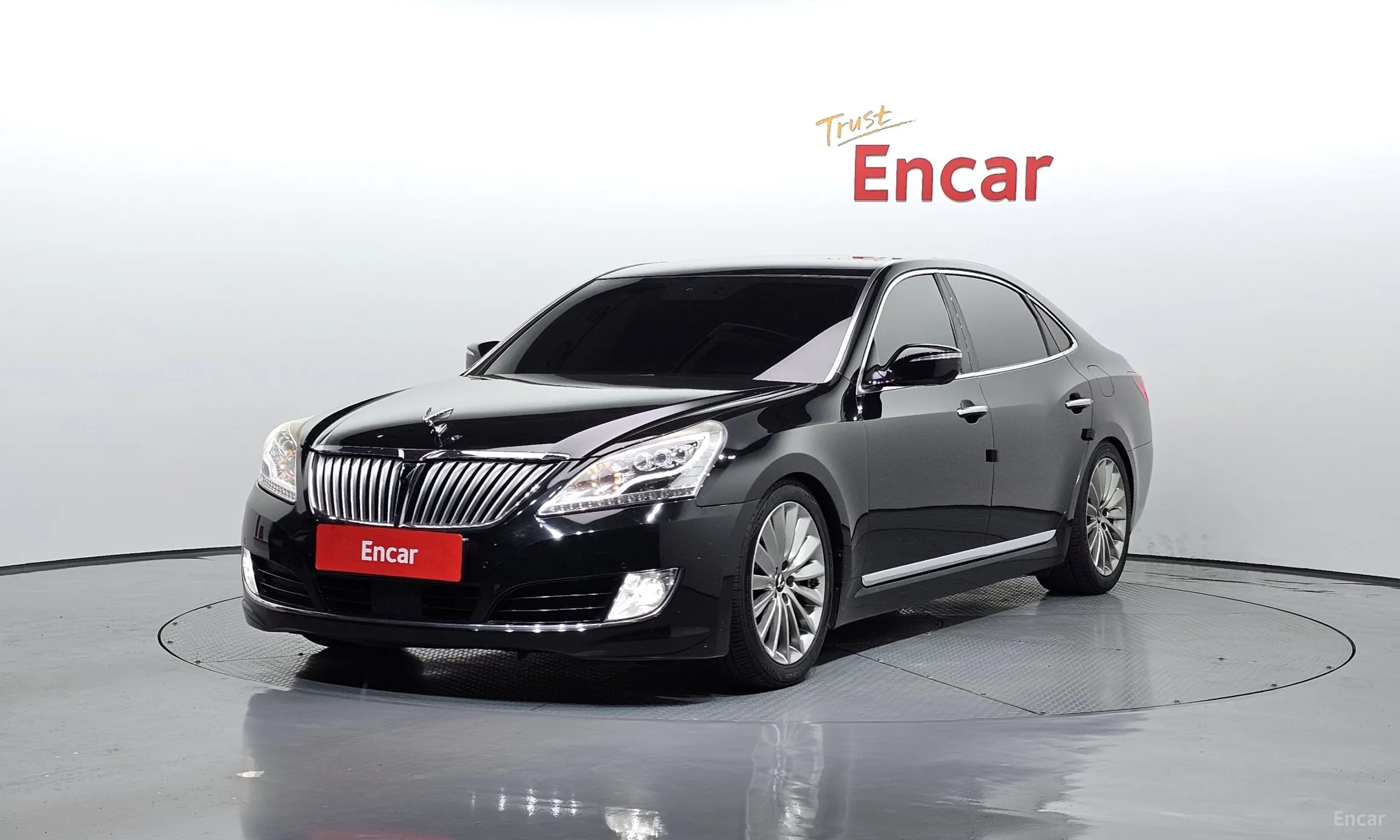 Equus (new)