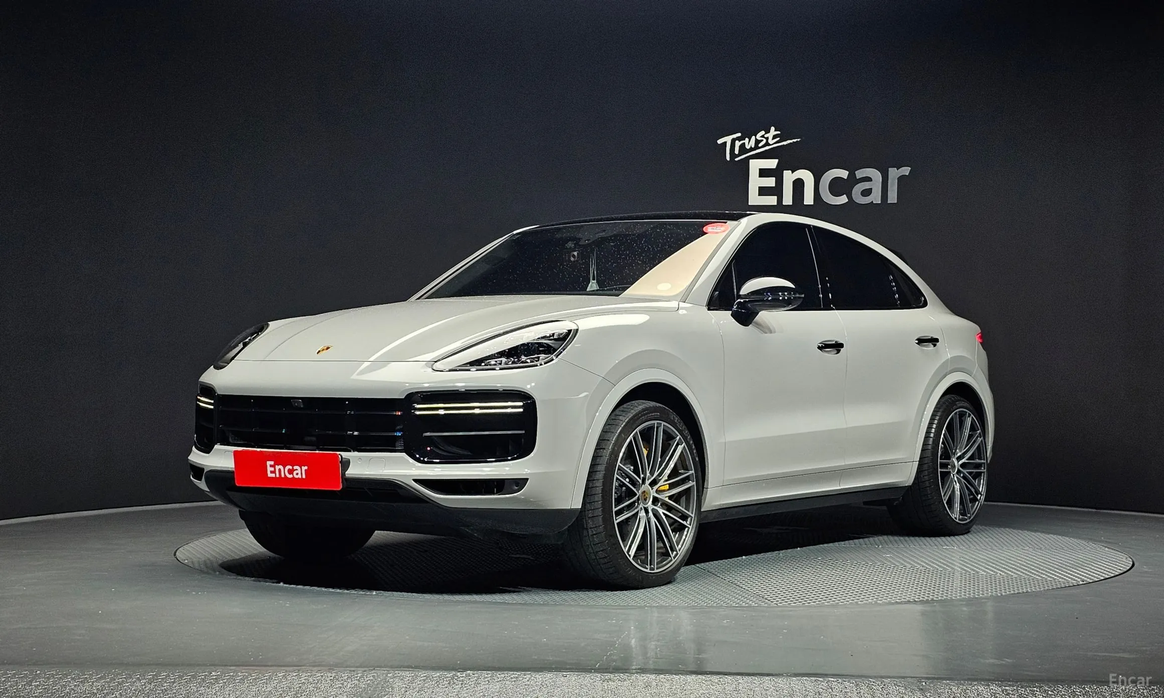 Cayenne (PO536)