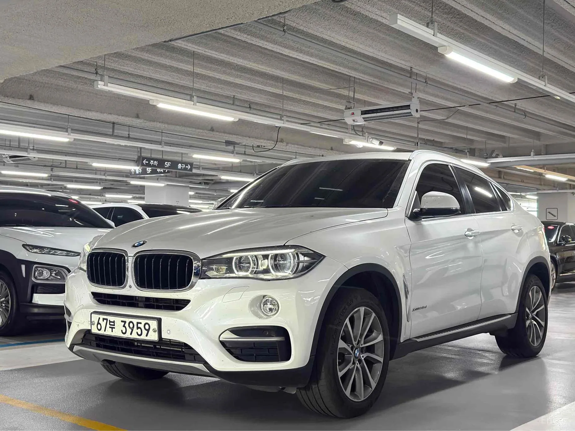 X6 (F16)