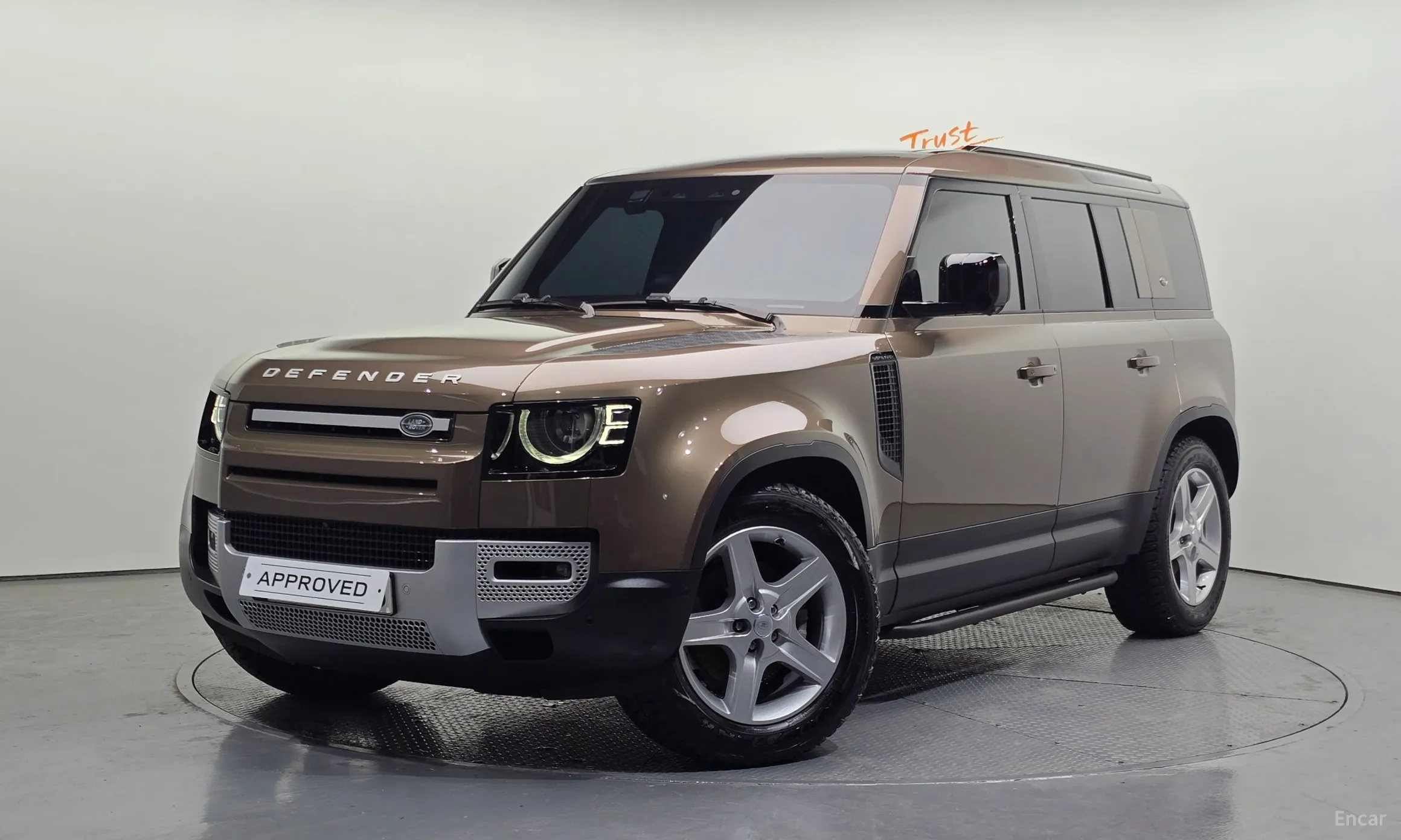Defender (L663)
