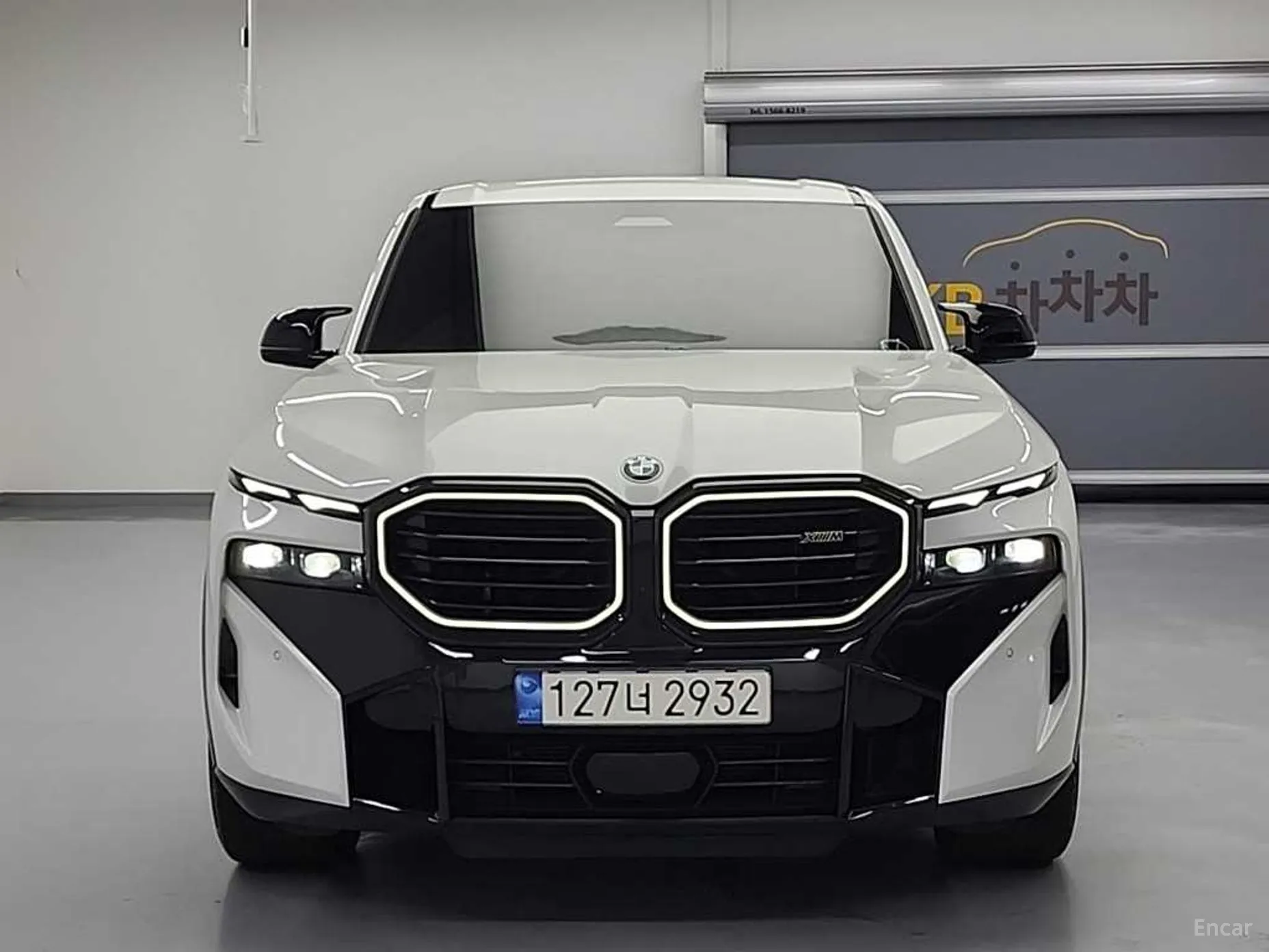 BMW XM (G09)