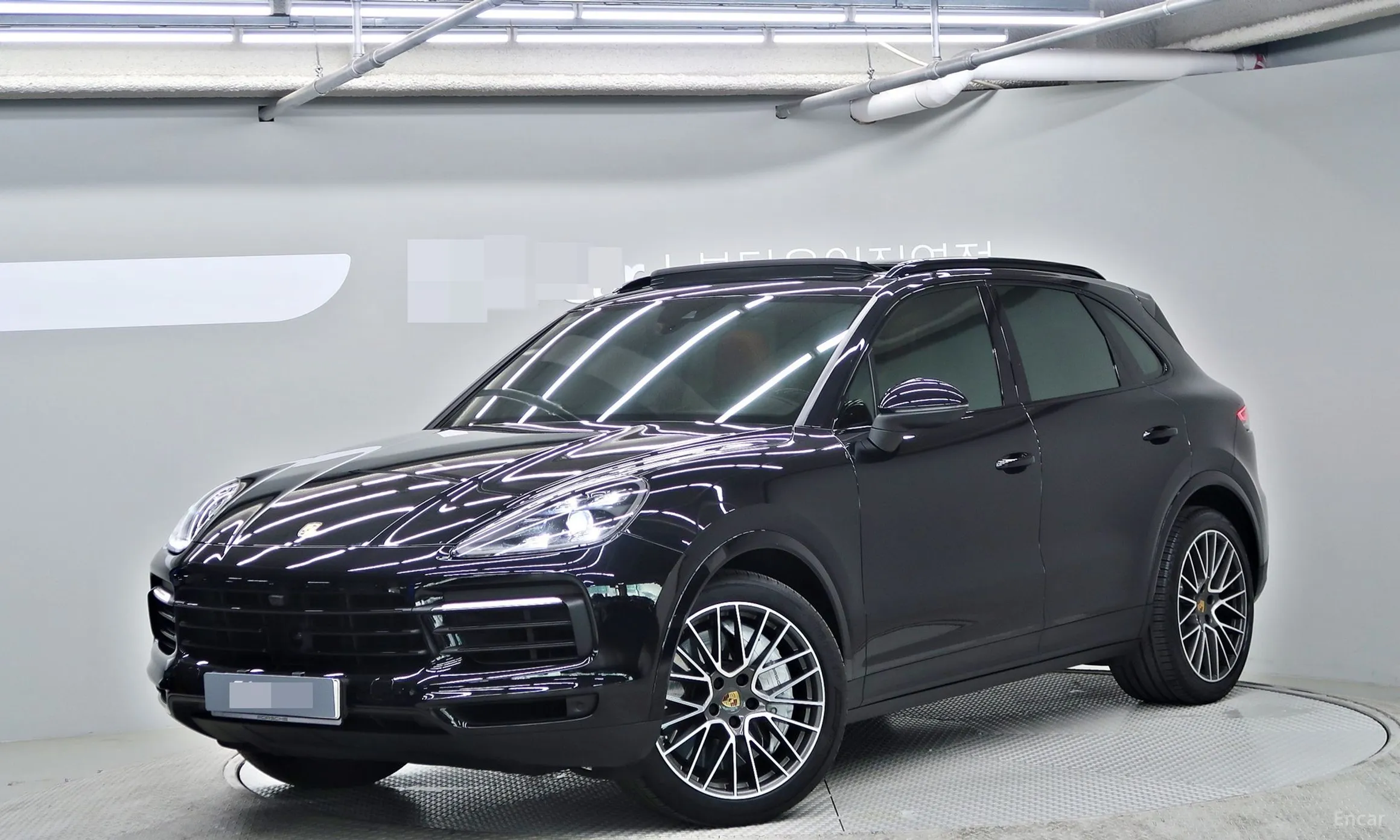 Cayenne (PO536)