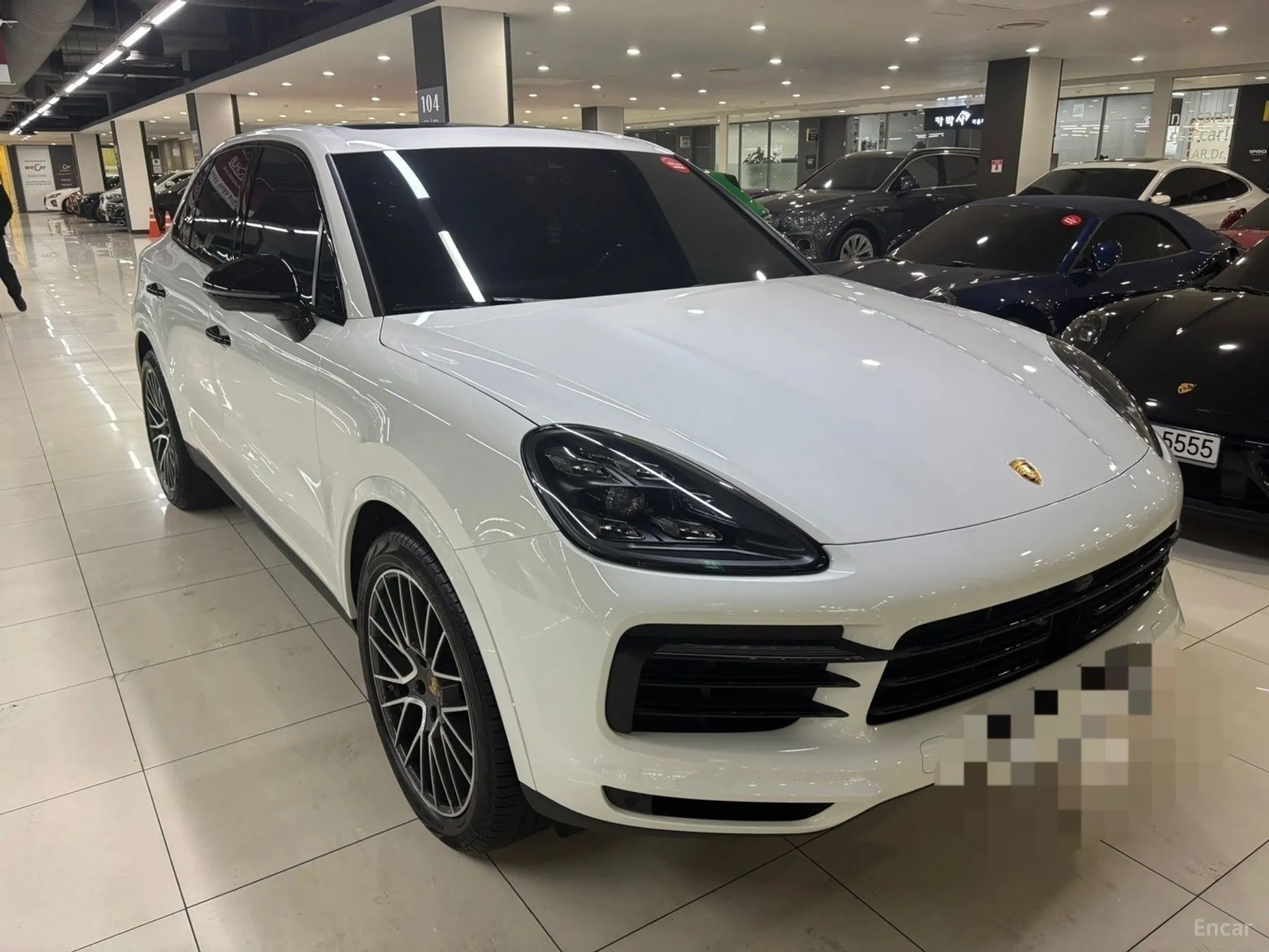 Cayenne (PO536)