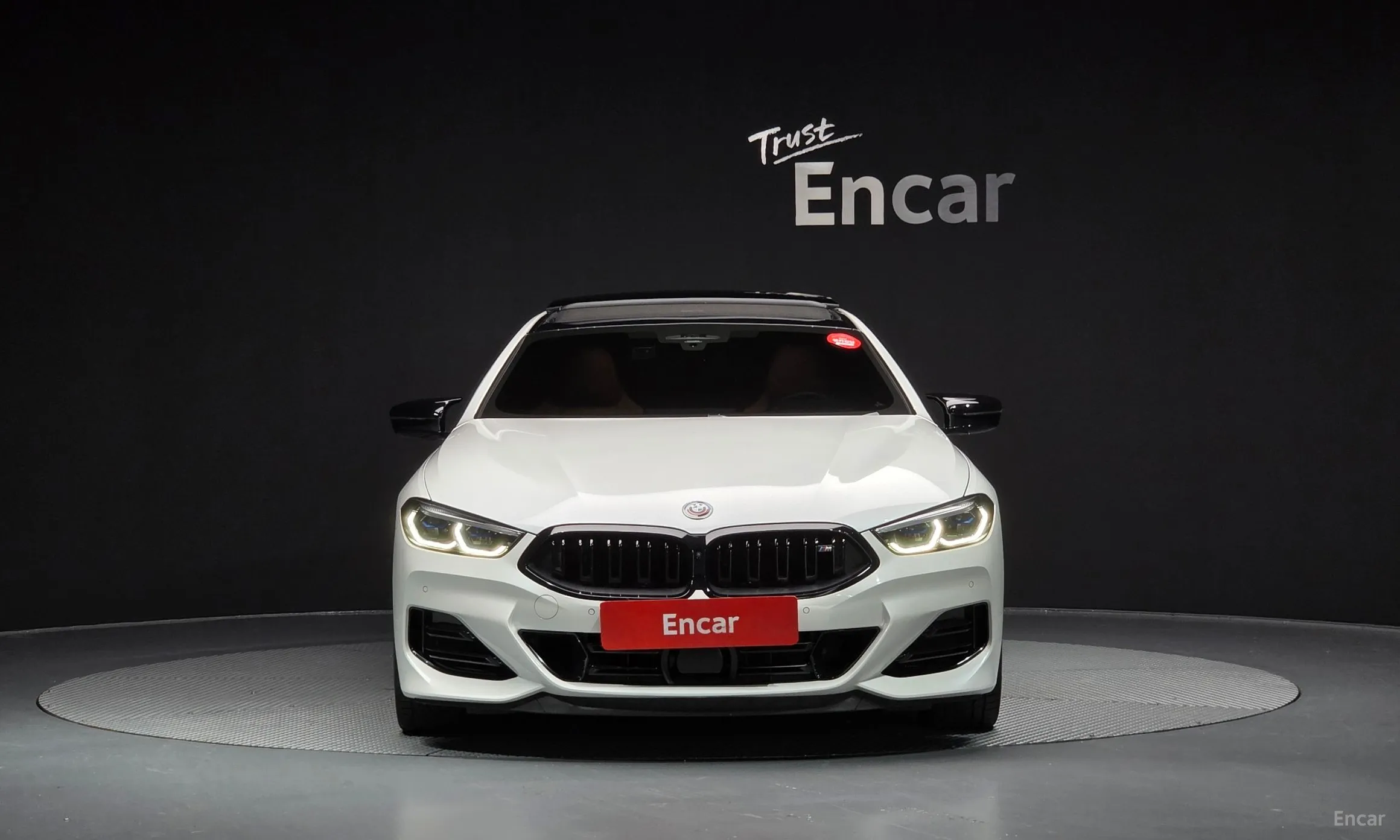 BMW 8-series (G15)
