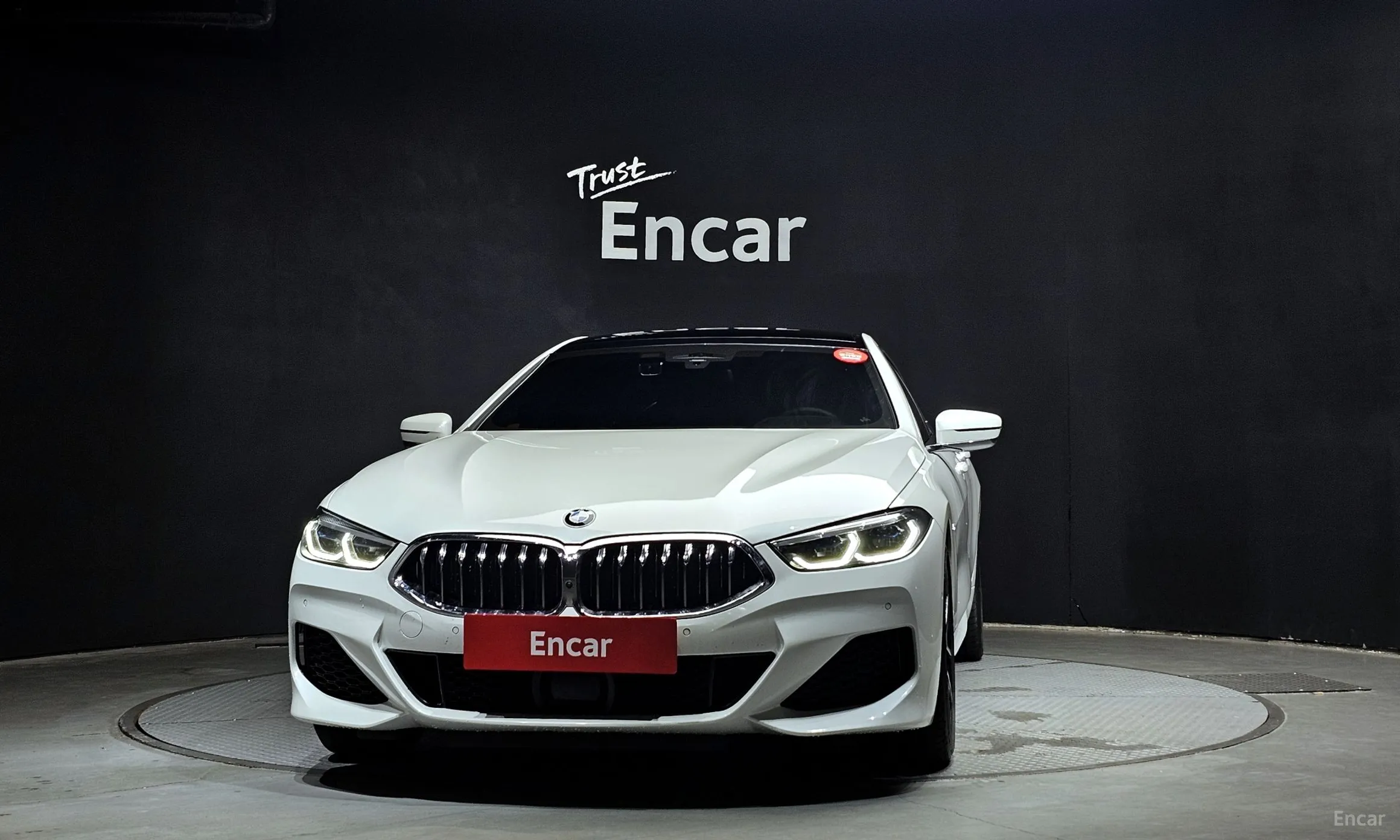 BMW 8-series (G15)
