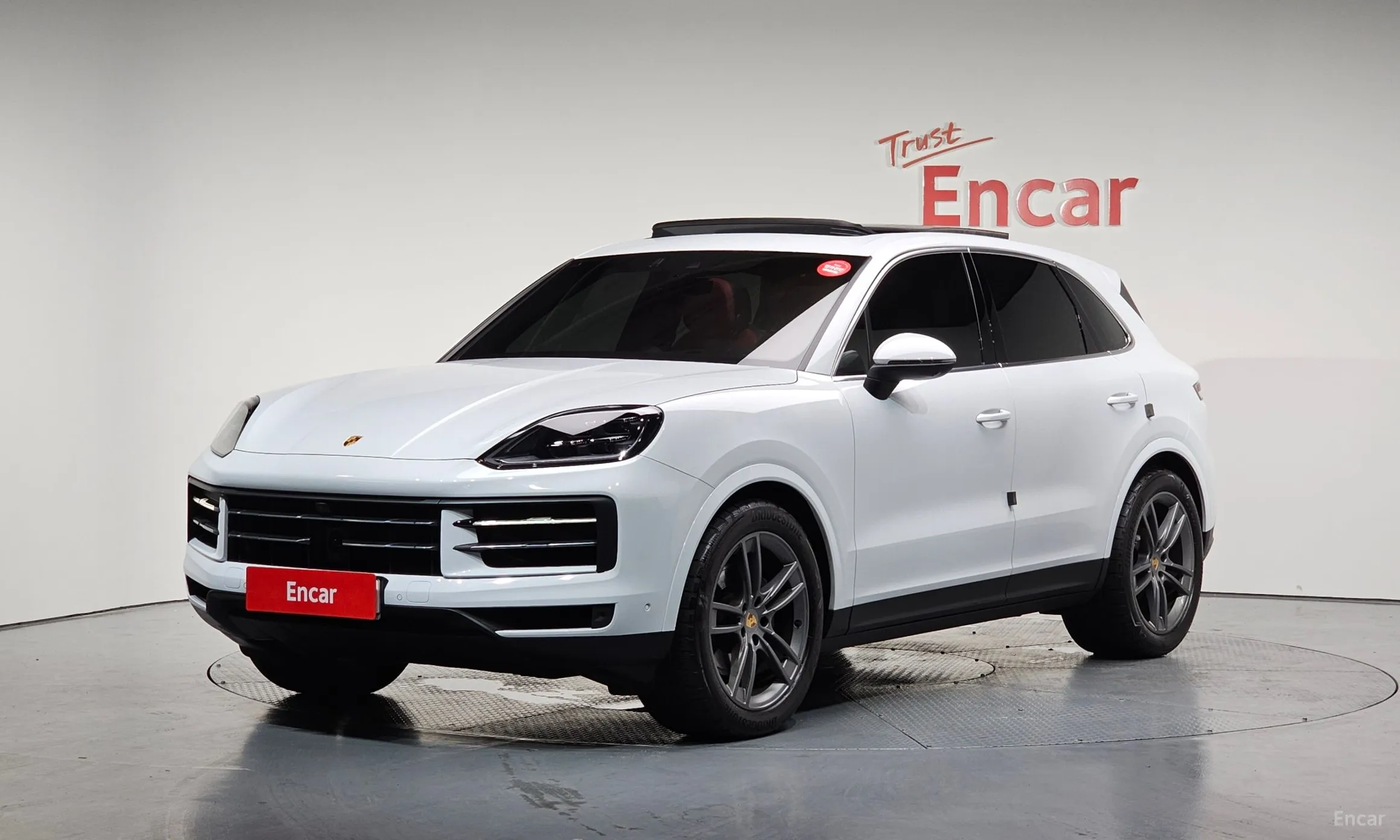Cayenne (PO536)