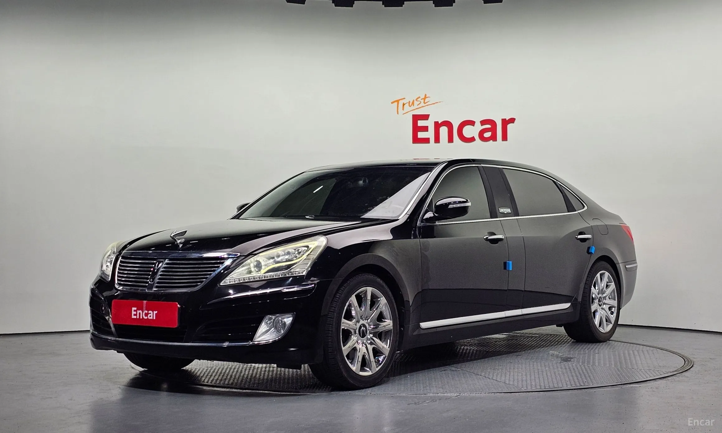 Equus (new)