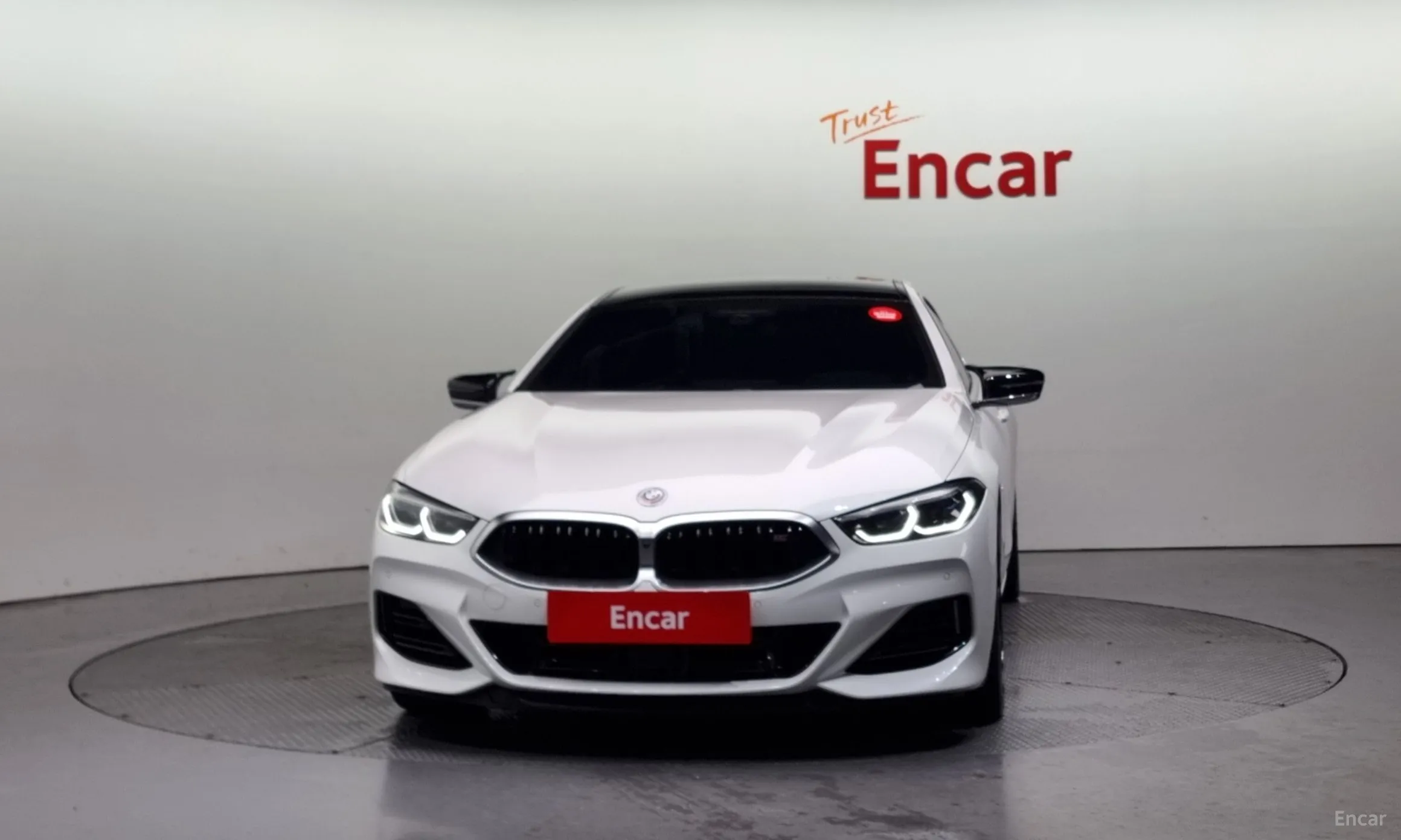 BMW 8-series (G15)