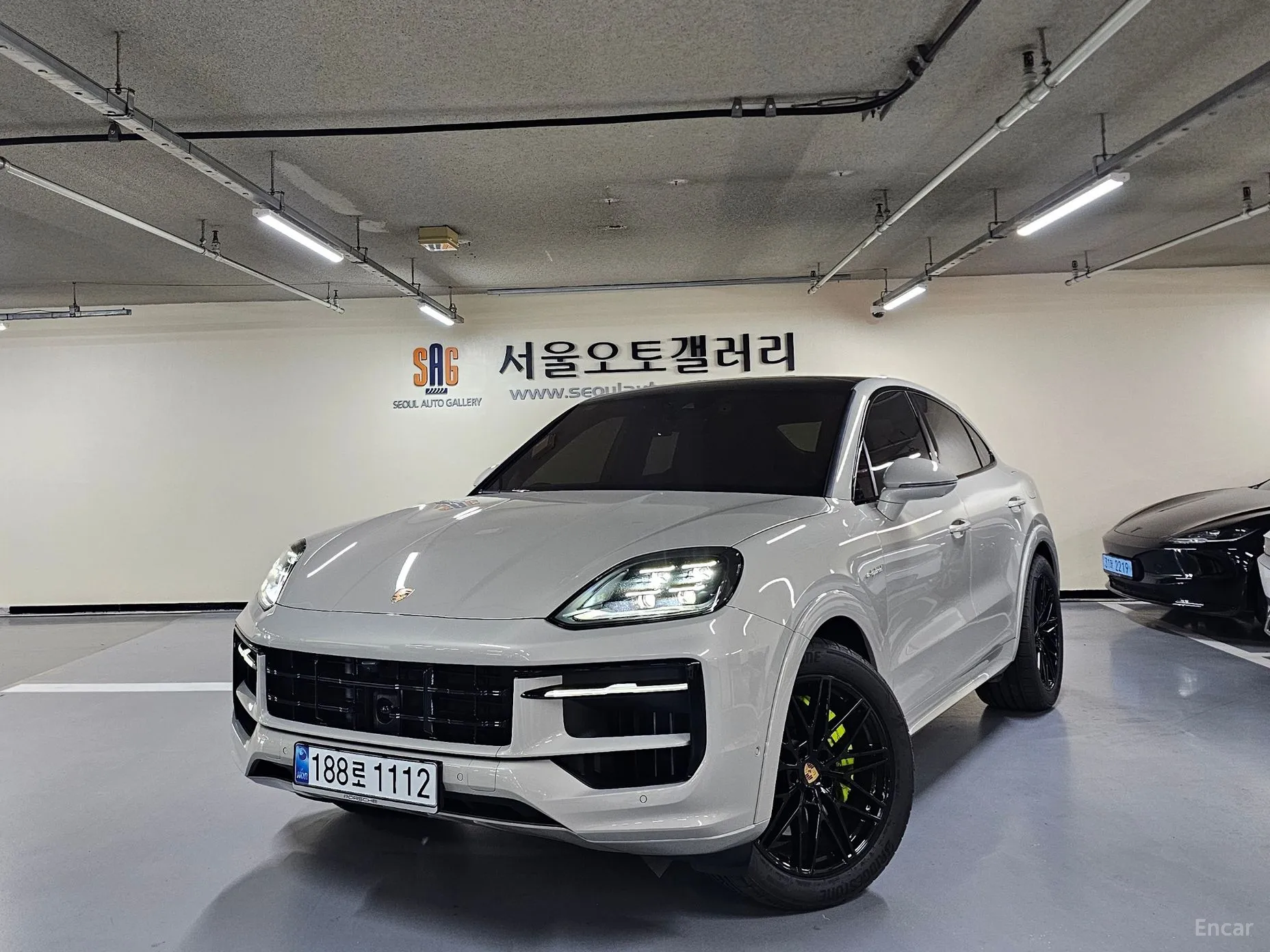 Cayenne (PO536)