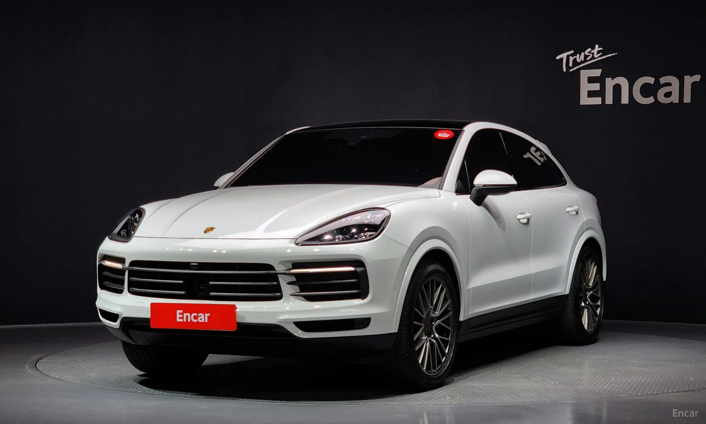 Cayenne (PO536)