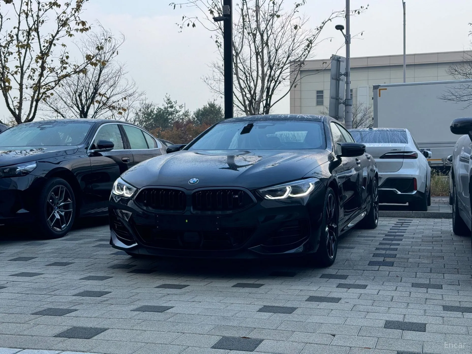 BMW 8-series (G15)