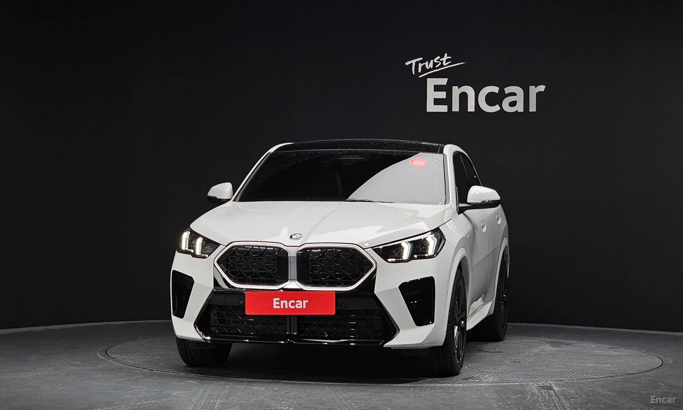 BMW X2 (U10) превью 2