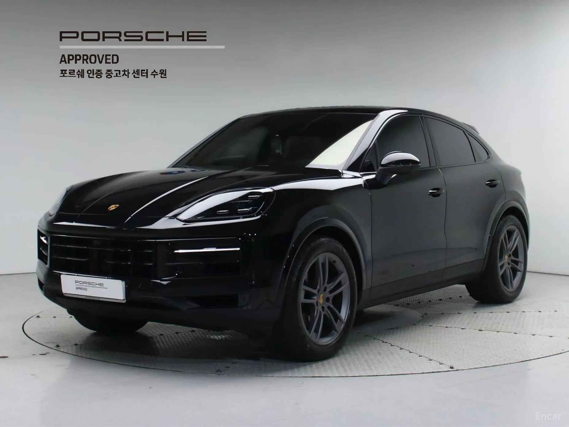 Cayenne (PO536)