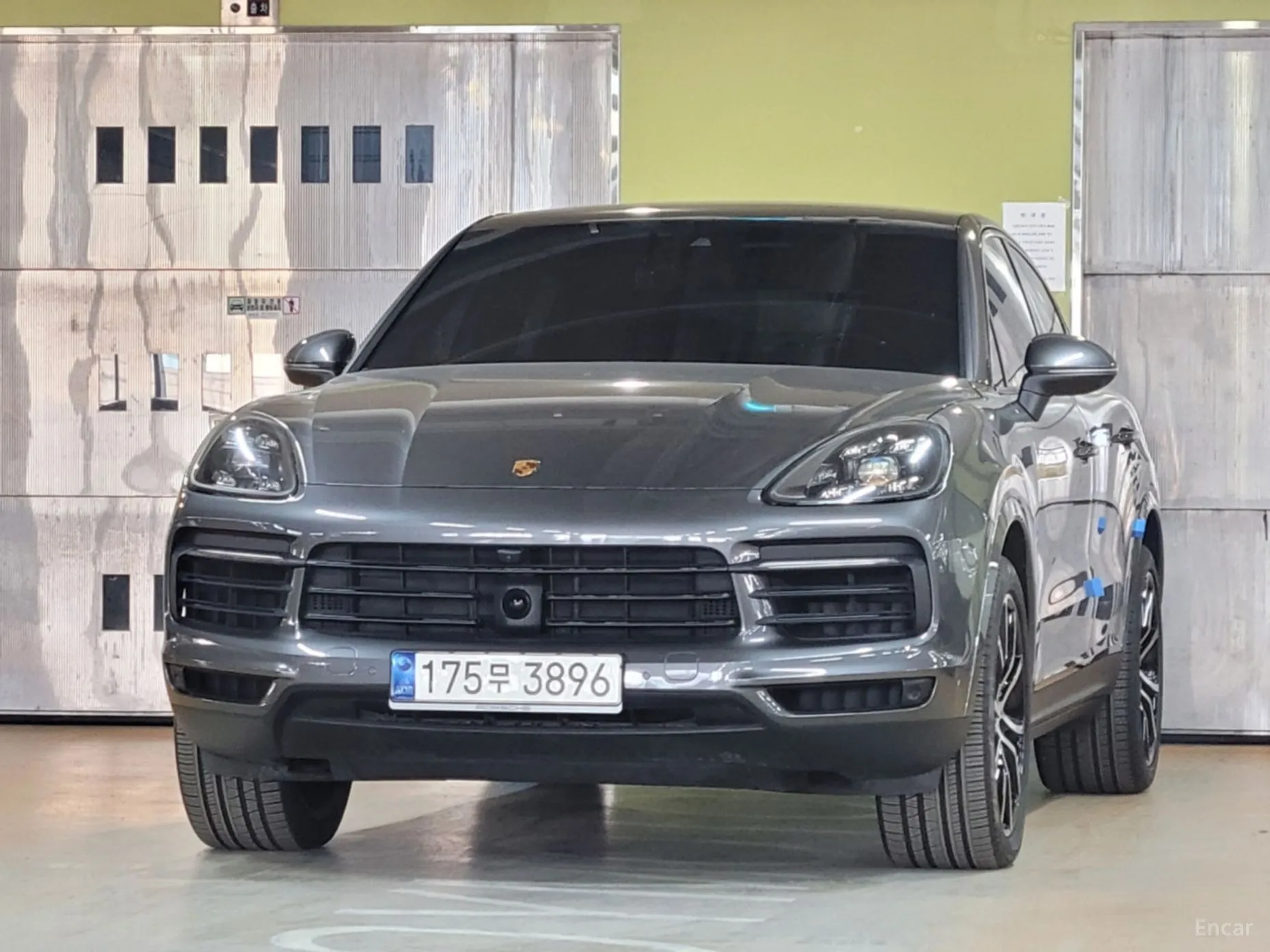 Cayenne (PO536)