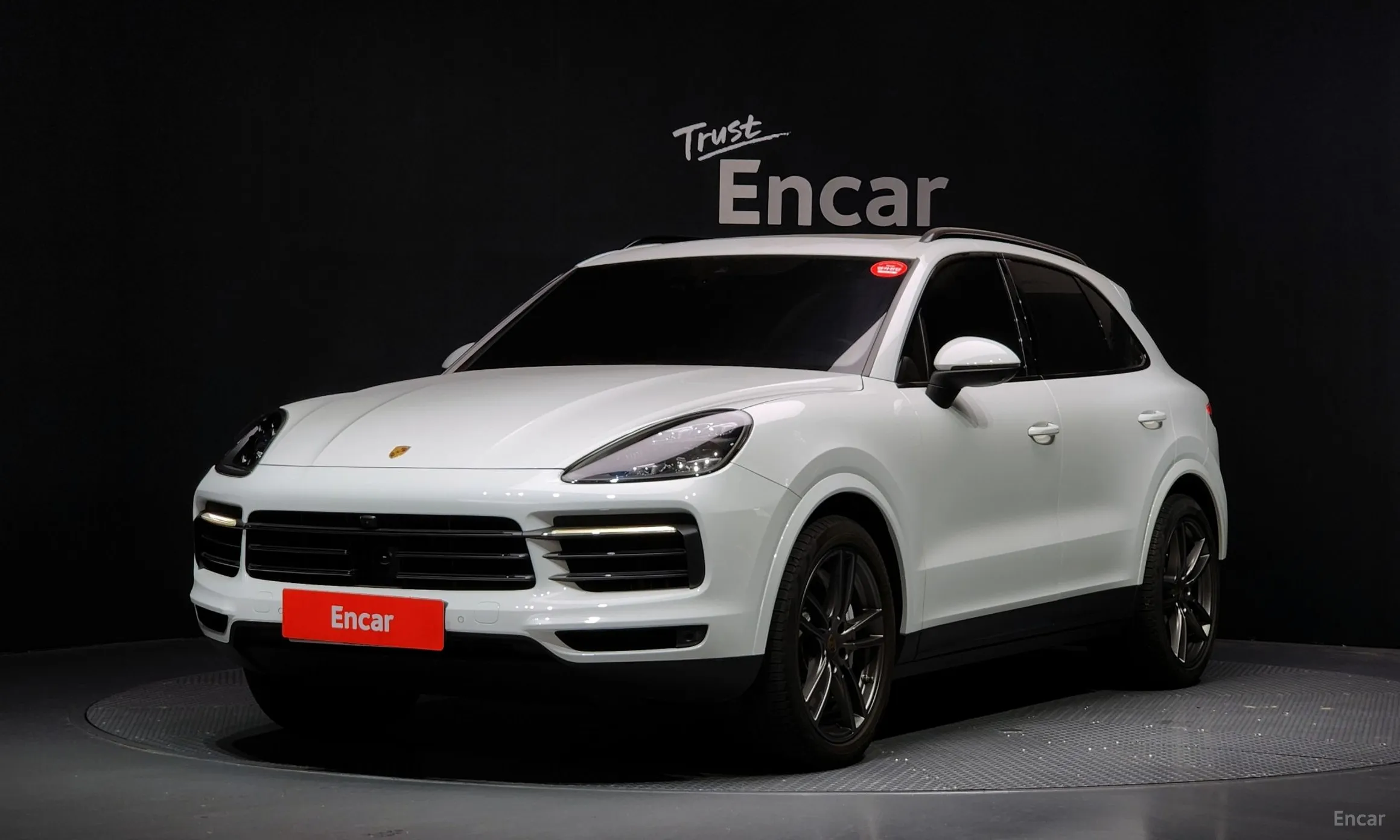 Cayenne (PO536)