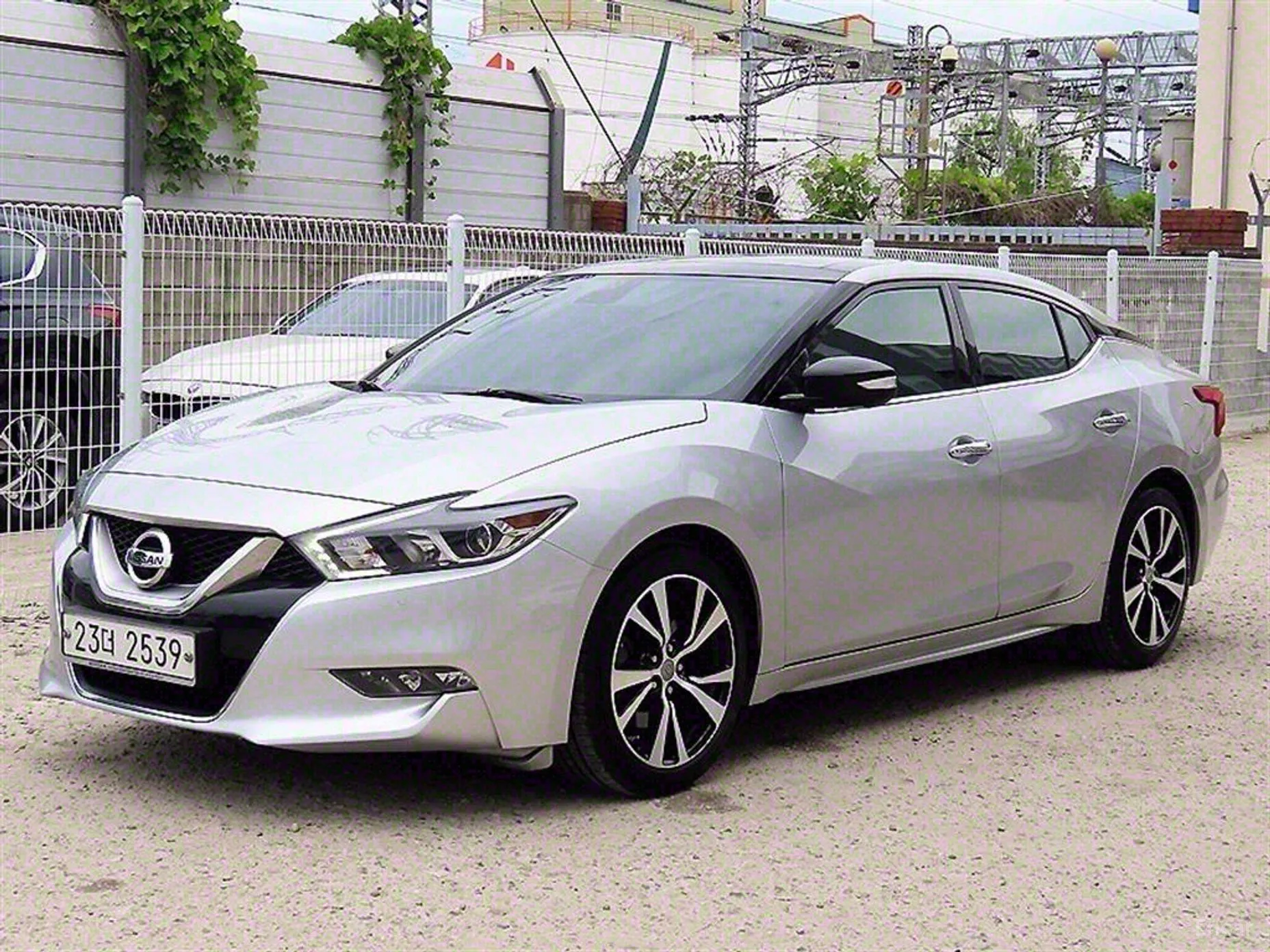 Nissan Maxima (A36)