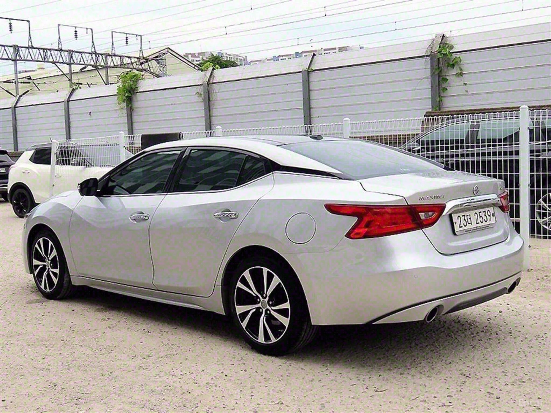 Nissan Maxima (A36) превью 3
