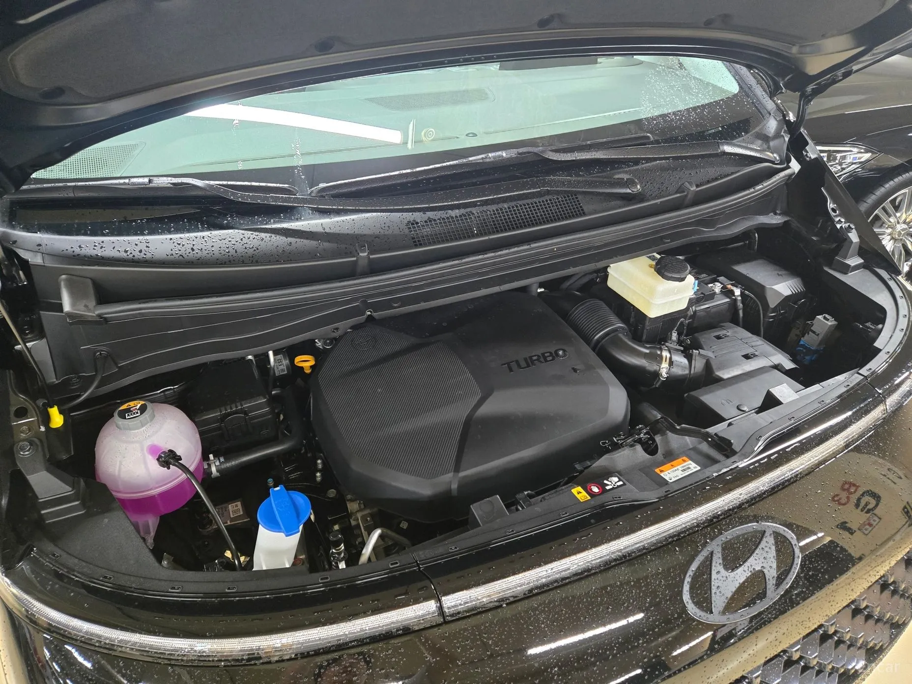 Hyundai Staria превью 2