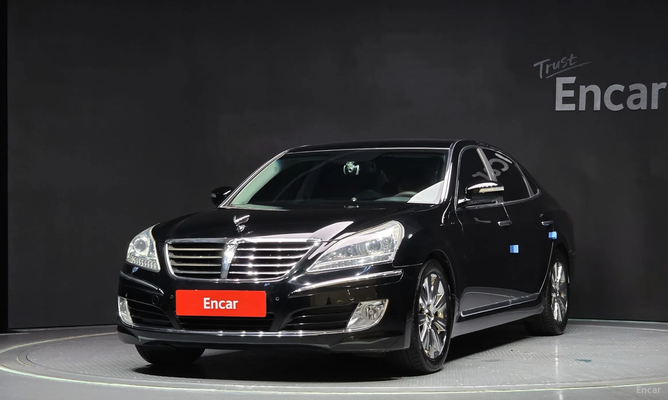 Equus (new)