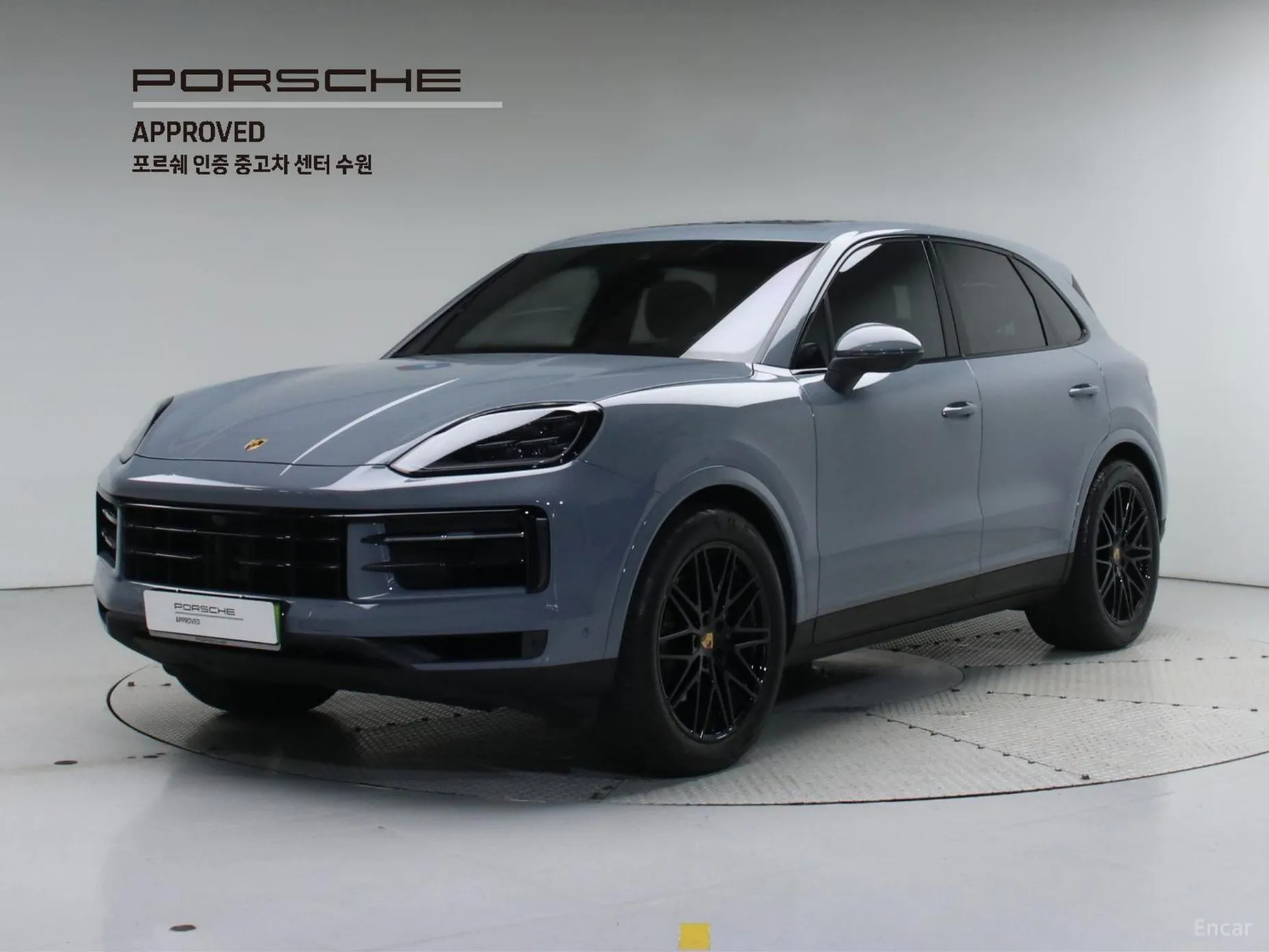Cayenne (PO536)