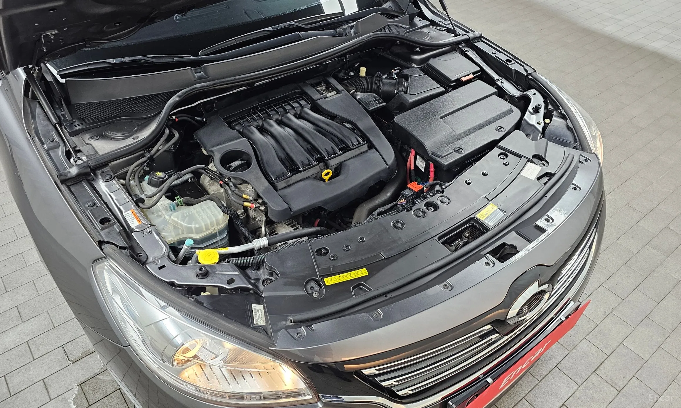 Renault Korea (Samsung) SM7 превью 6
