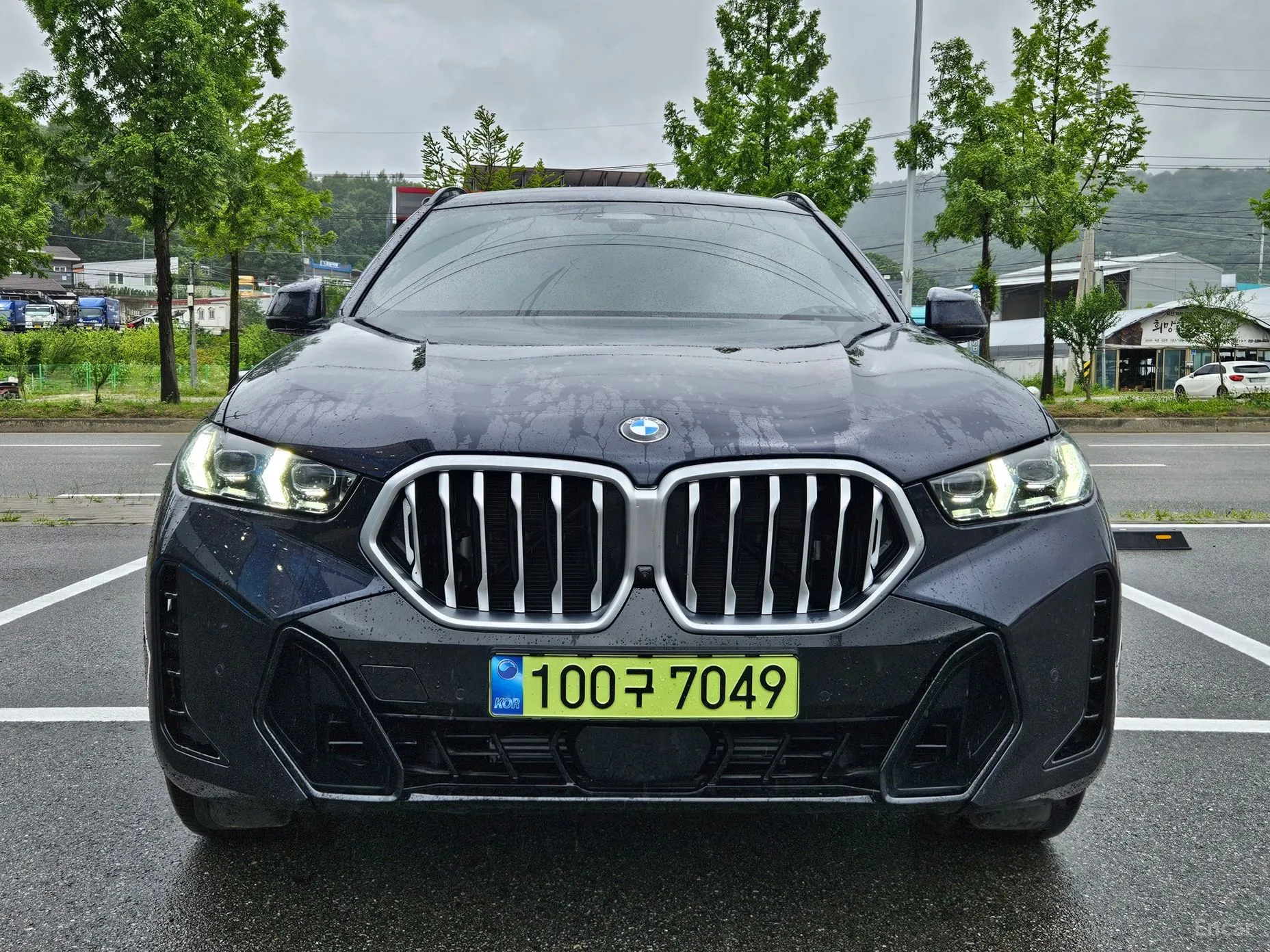 X6 (G06)