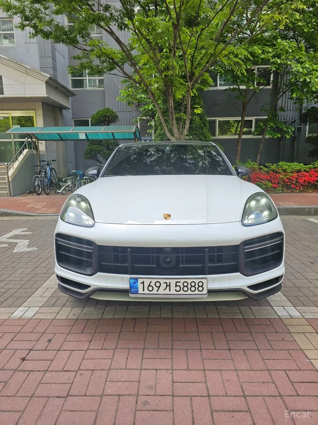 Cayenne (PO536)