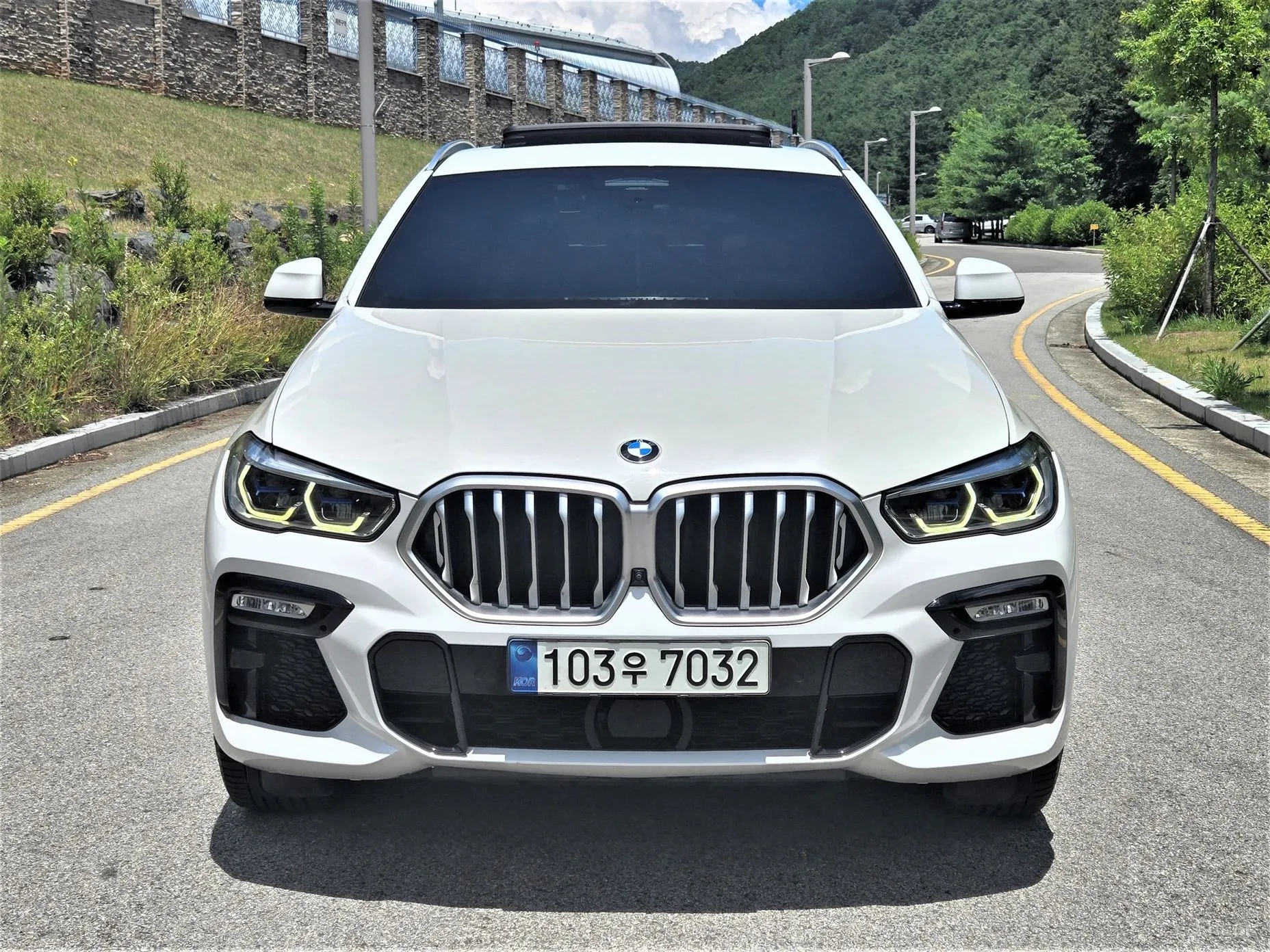 BMW X6 (G06)